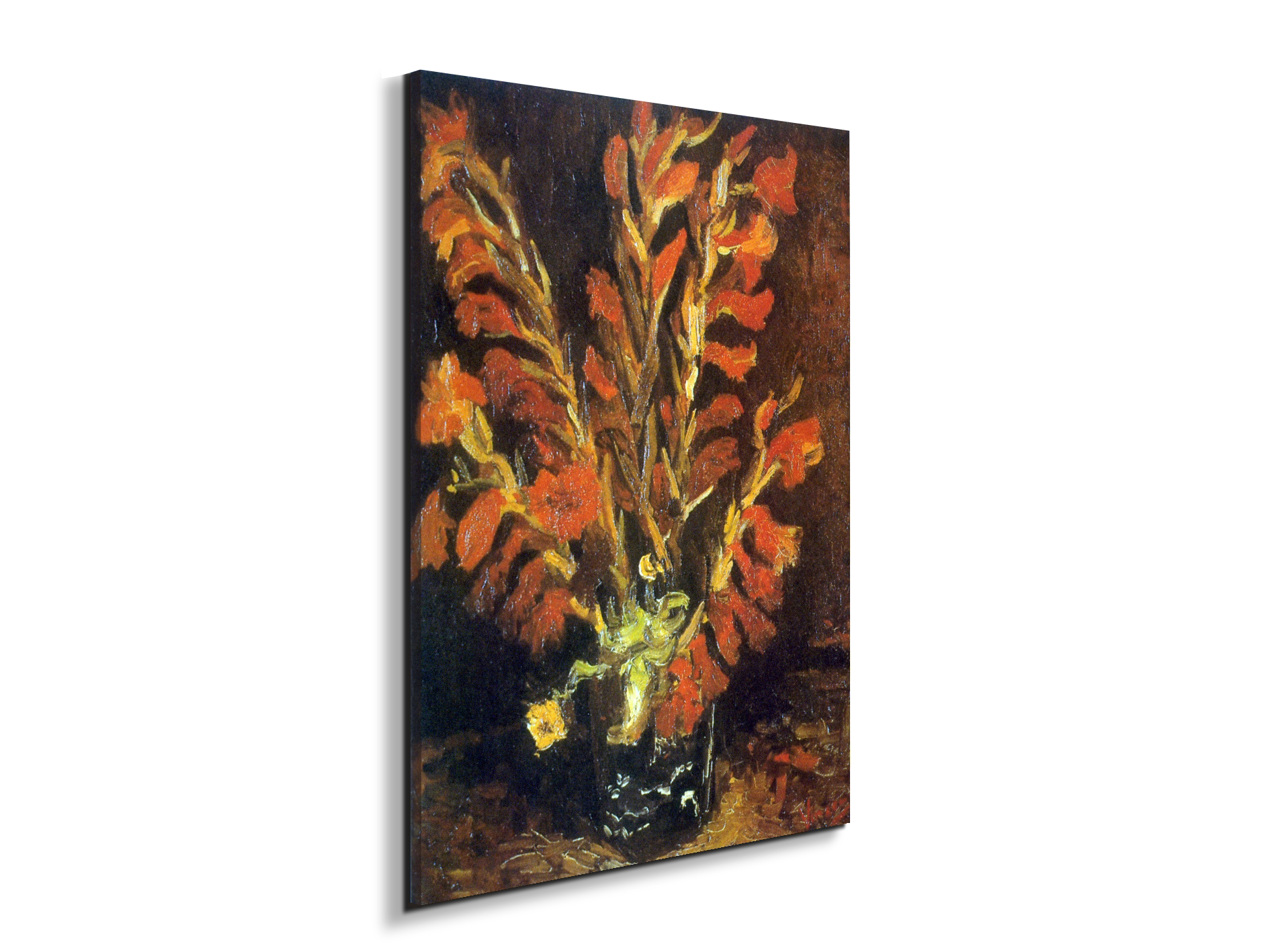 red-gladiolias90831-