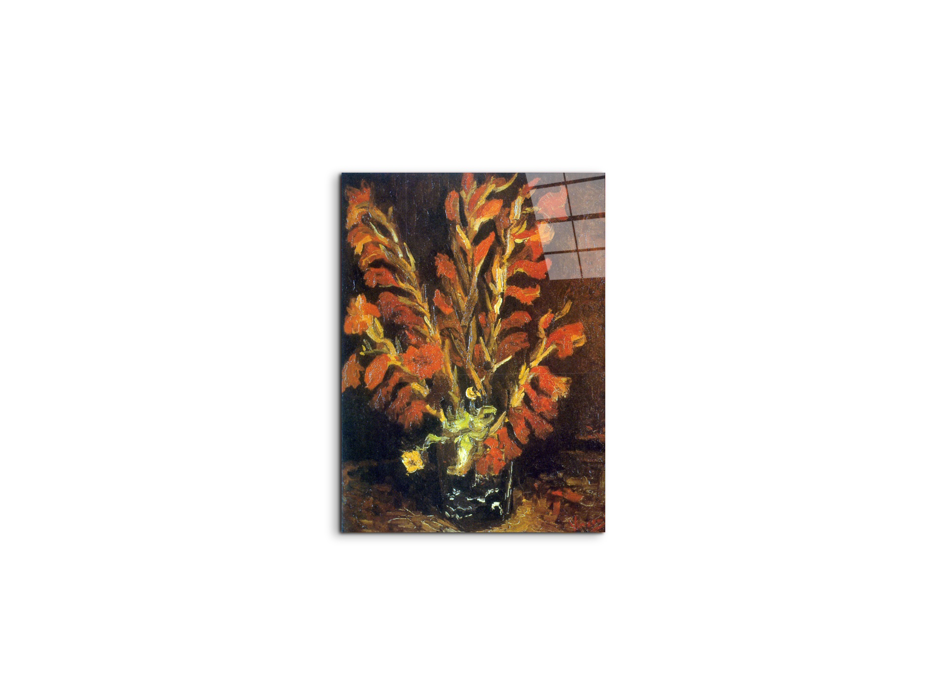 red-gladiolias90831-