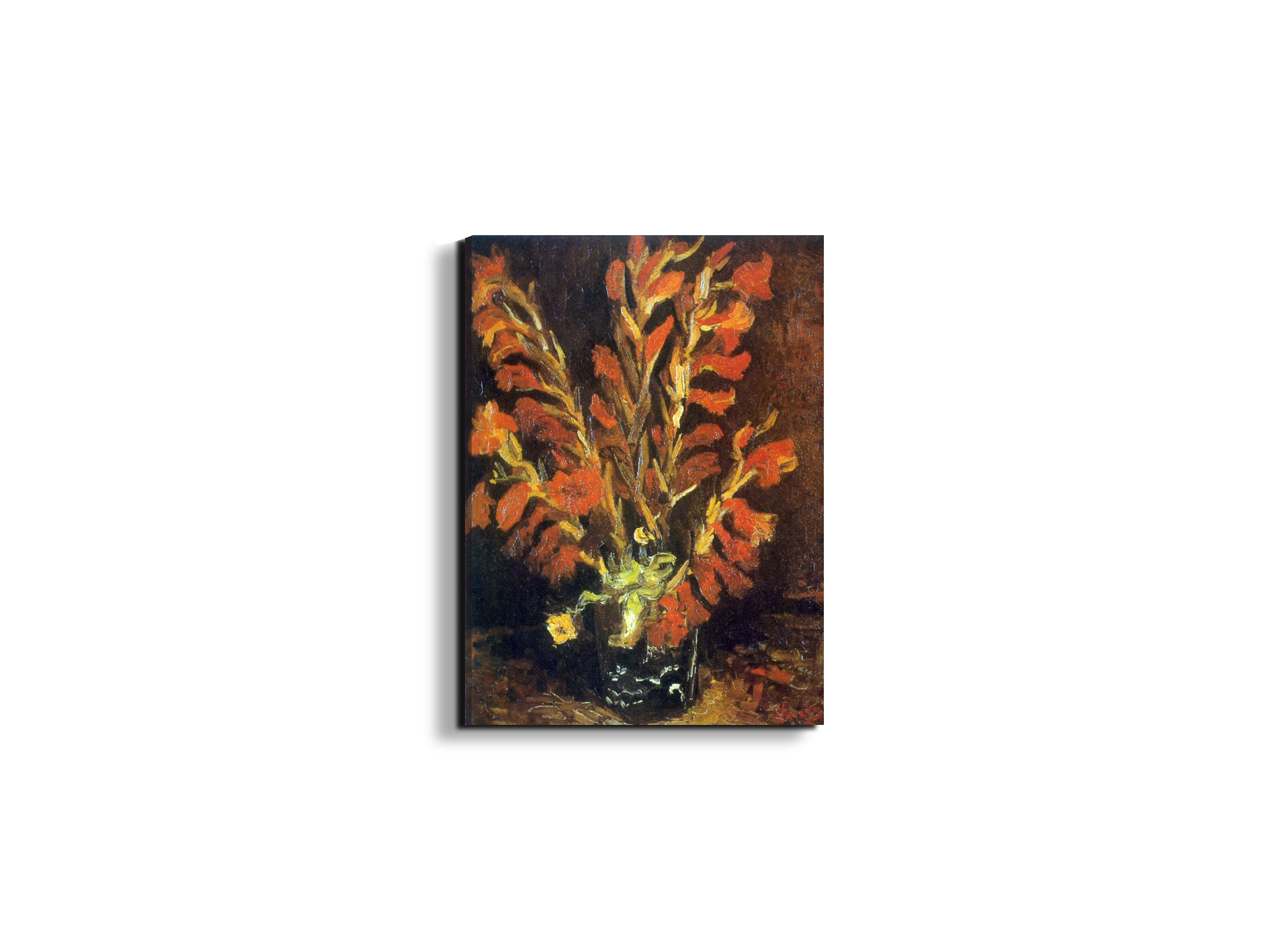 red-gladiolias90831-
