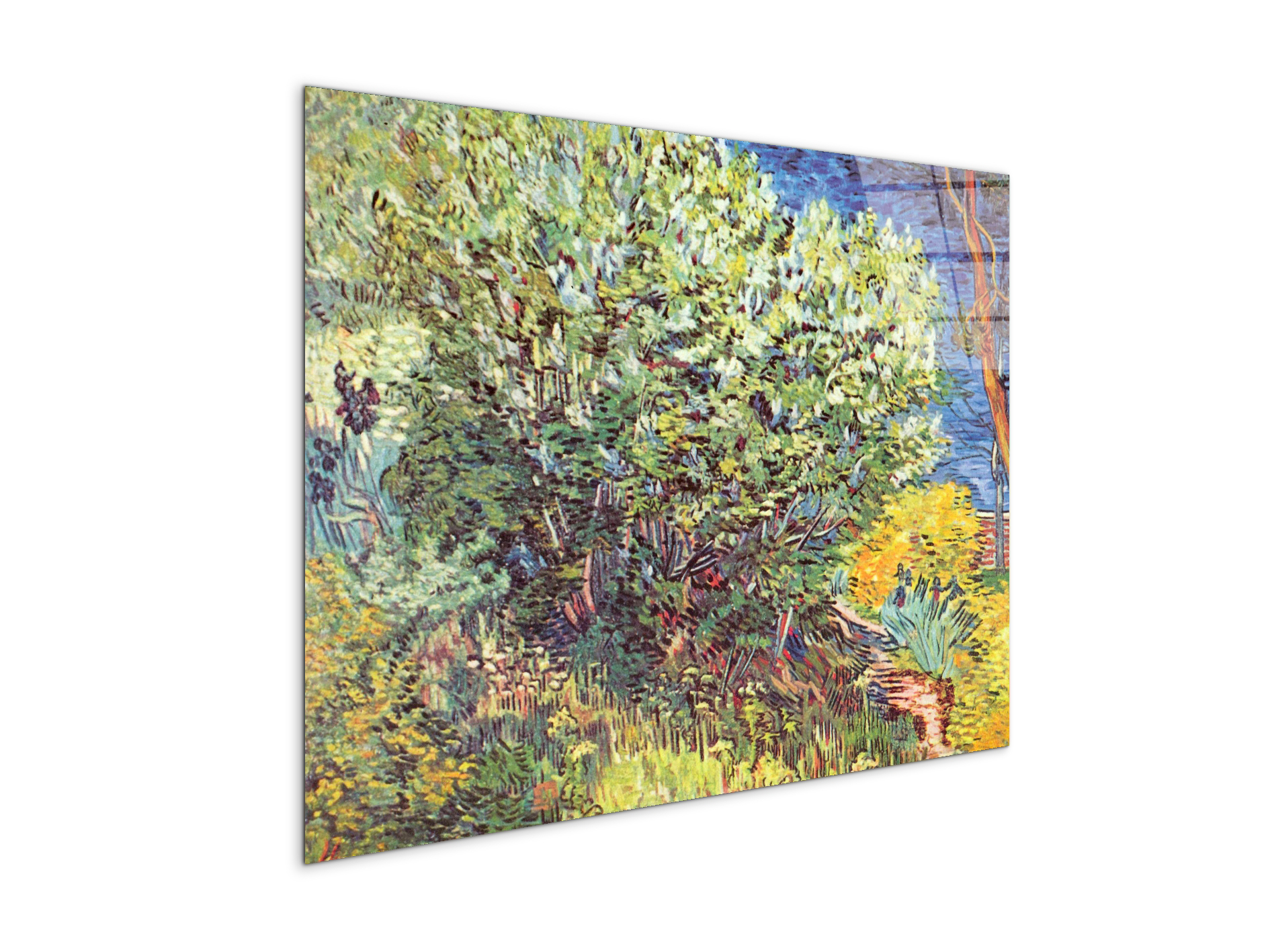 slip-awayas90865-#materiale_CrystalArt/dimensioni_76x57