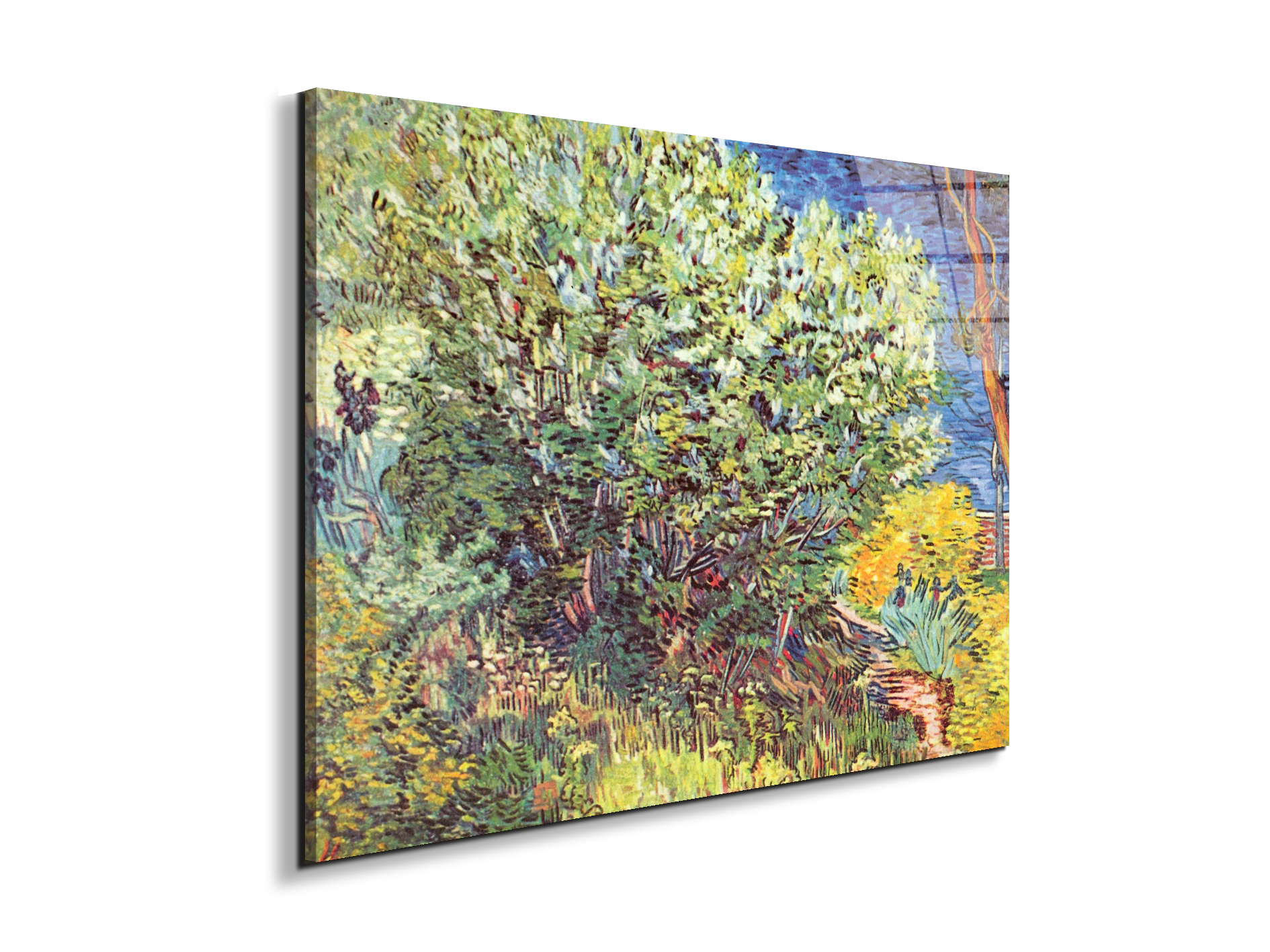 slip-awayas90865-#materiale_EarthArt Total Gloss/dimensioni_76x57