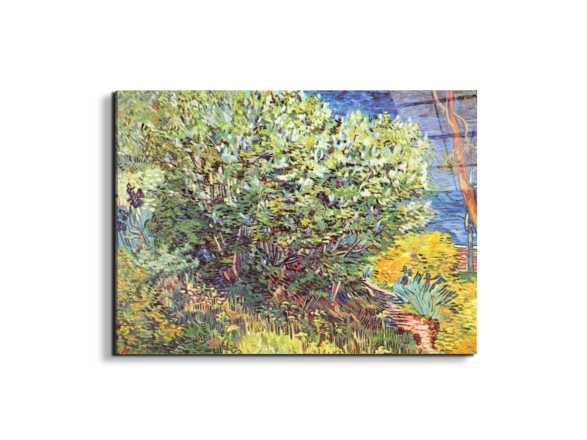 slip-awayas90865-#materiale_EarthArt Total Gloss/dimensioni_76x57