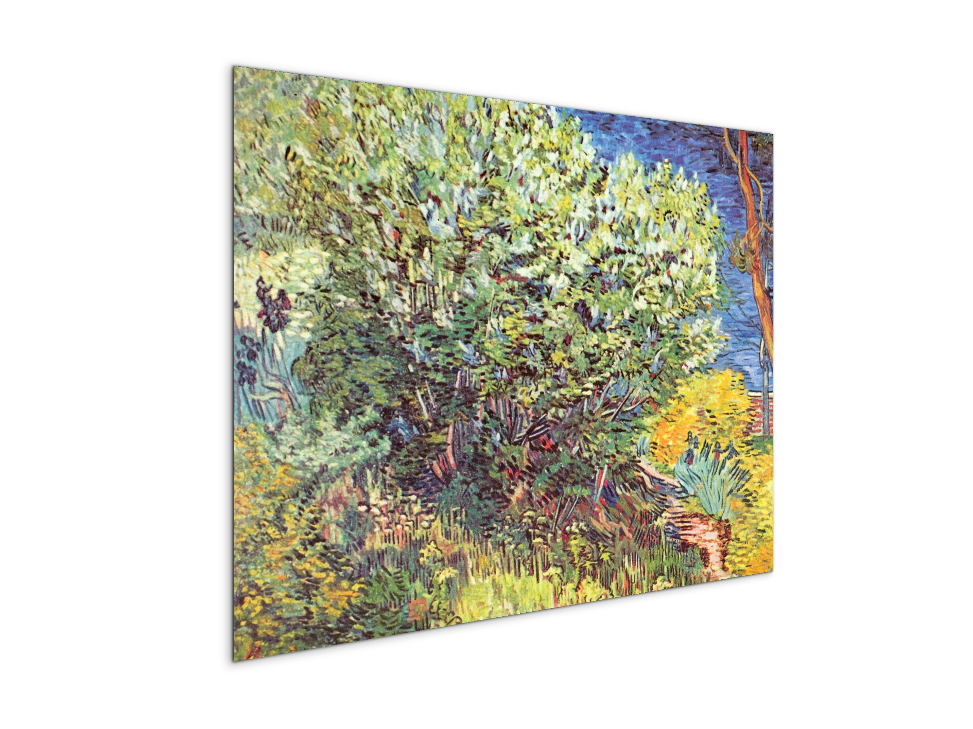 slip-awayas90865-#materiale_MetalArt Materic/dimensioni_76x57