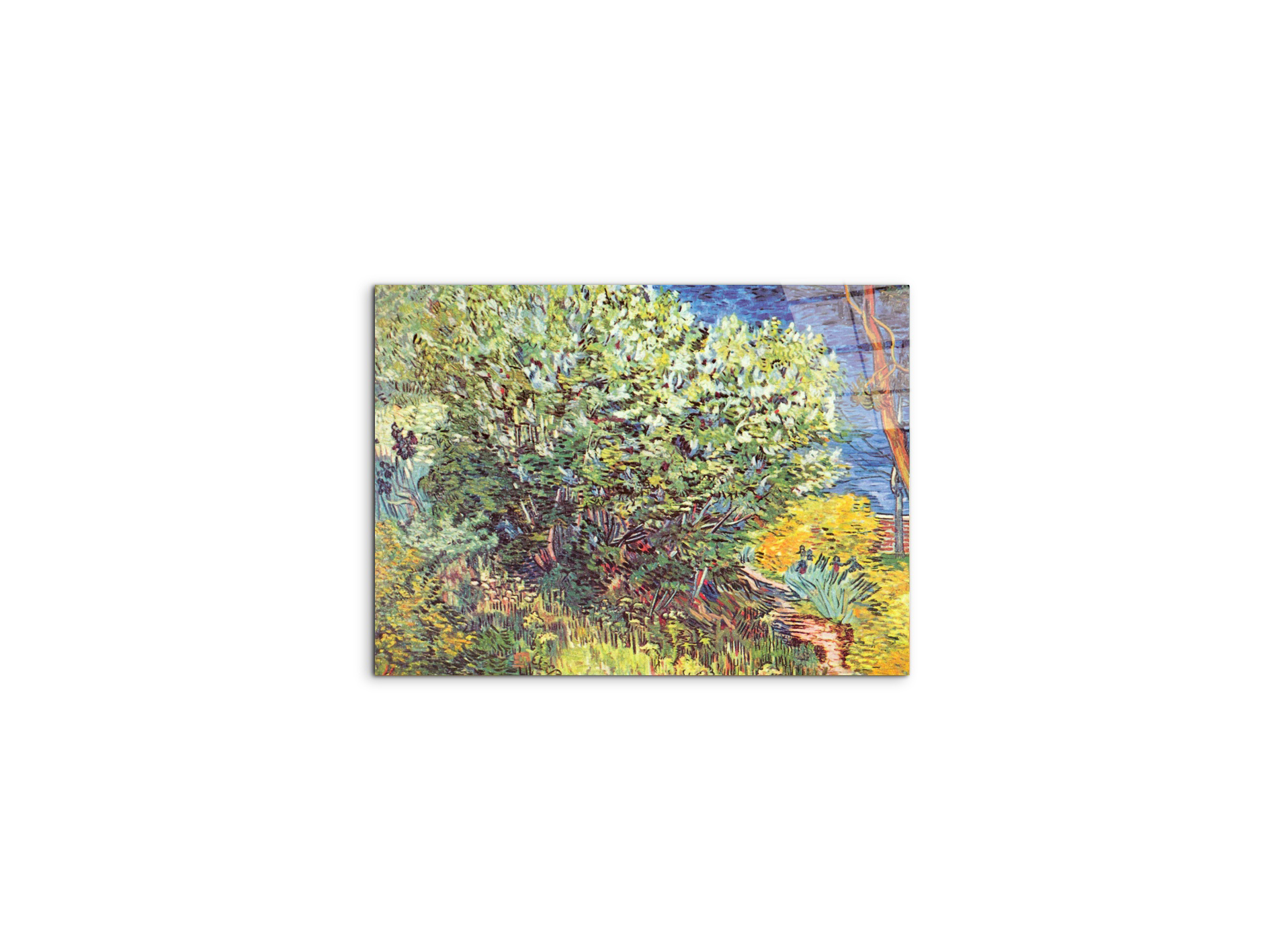 slip-awayas90865-#materiale_CrystalArt/dimensioni_50x37,50