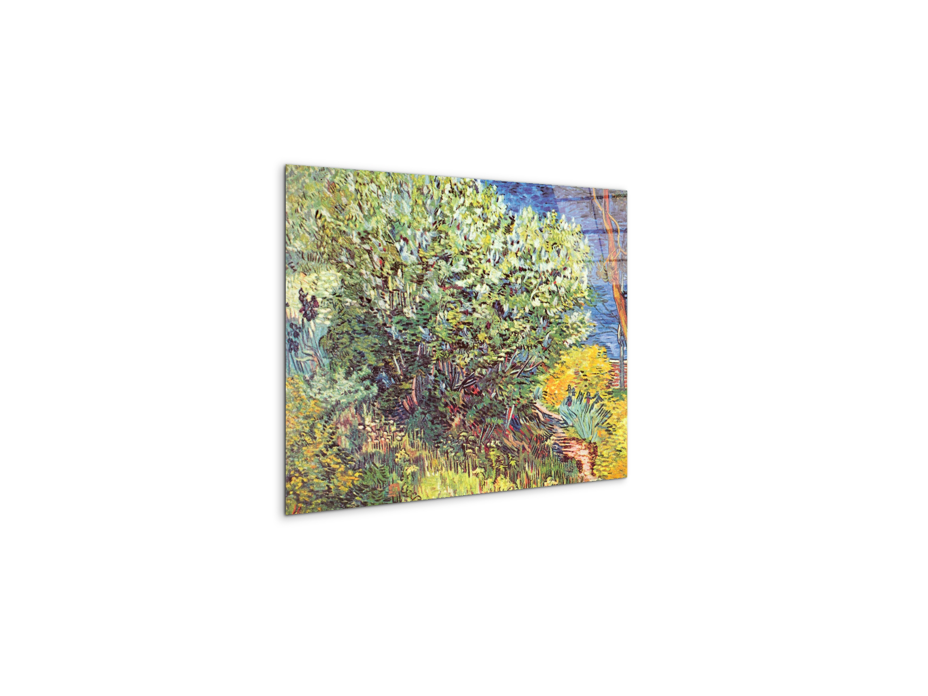 slip-awayas90865-#materiale_CrystalArt/dimensioni_50x37,50