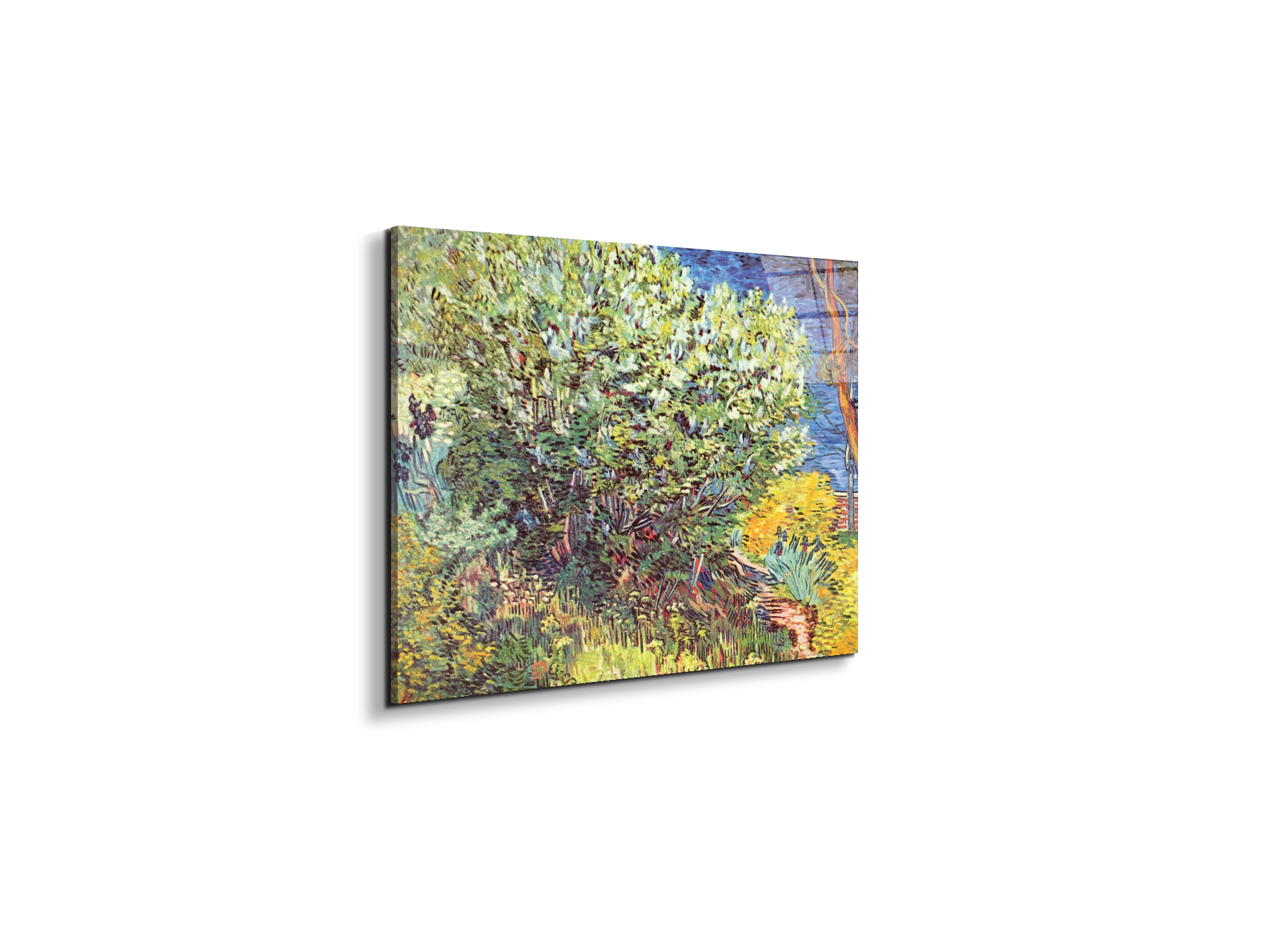 slip-awayas90865-#materiale_EarthArt Total Gloss/dimensioni_50x37,50