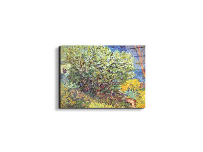 slip-awayas90865-#materiale_EarthArt Total Gloss/dimensioni_50x37,50