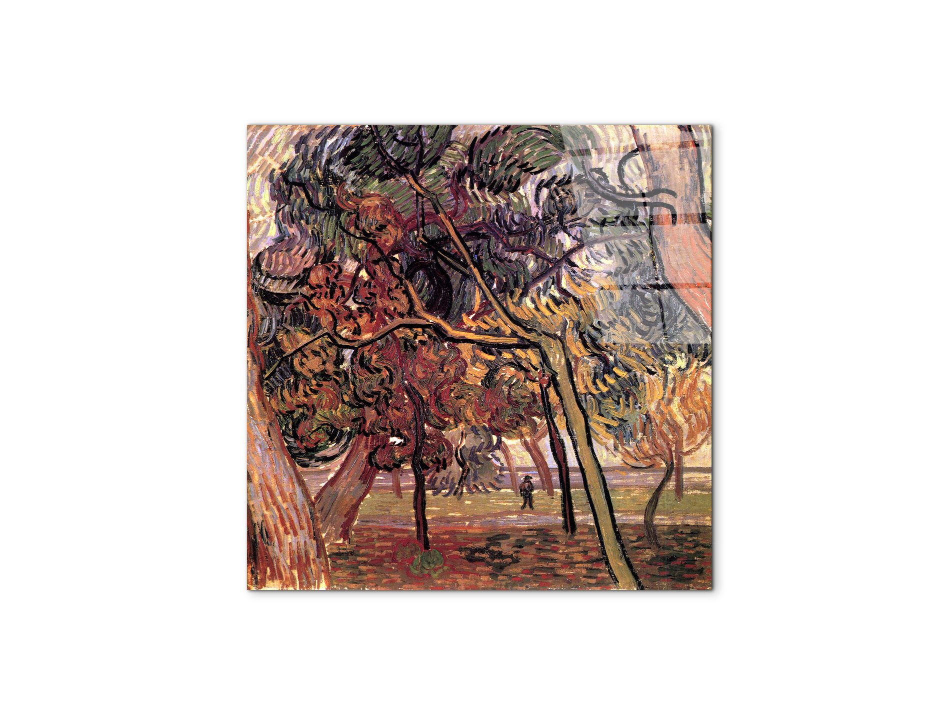 study-of-pine-treesas90897-#materiale_CrystalArt/dimensioni_58x58