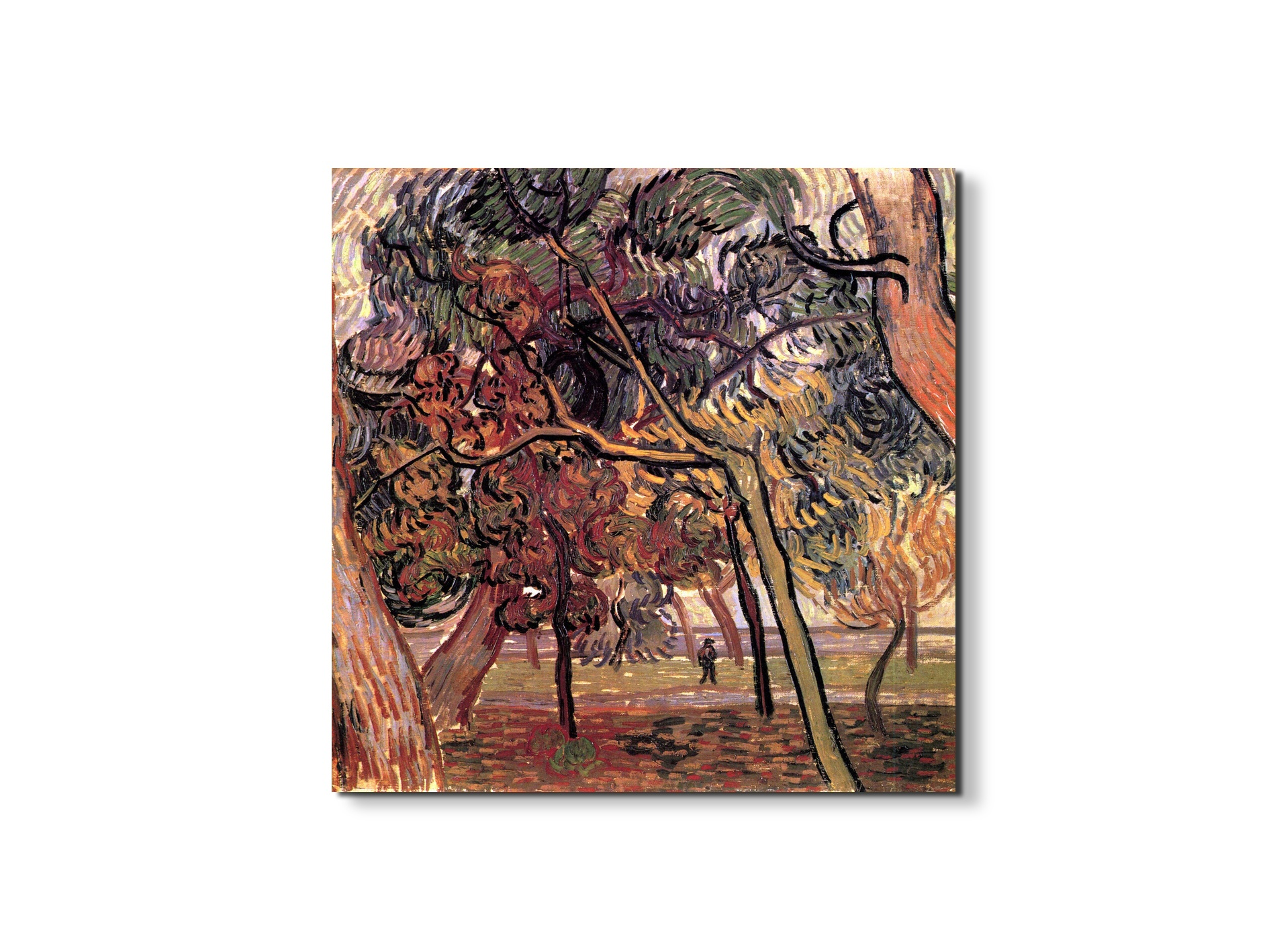 study-of-pine-treesas90897-#materiale_EarthArt/dimensioni_58x58