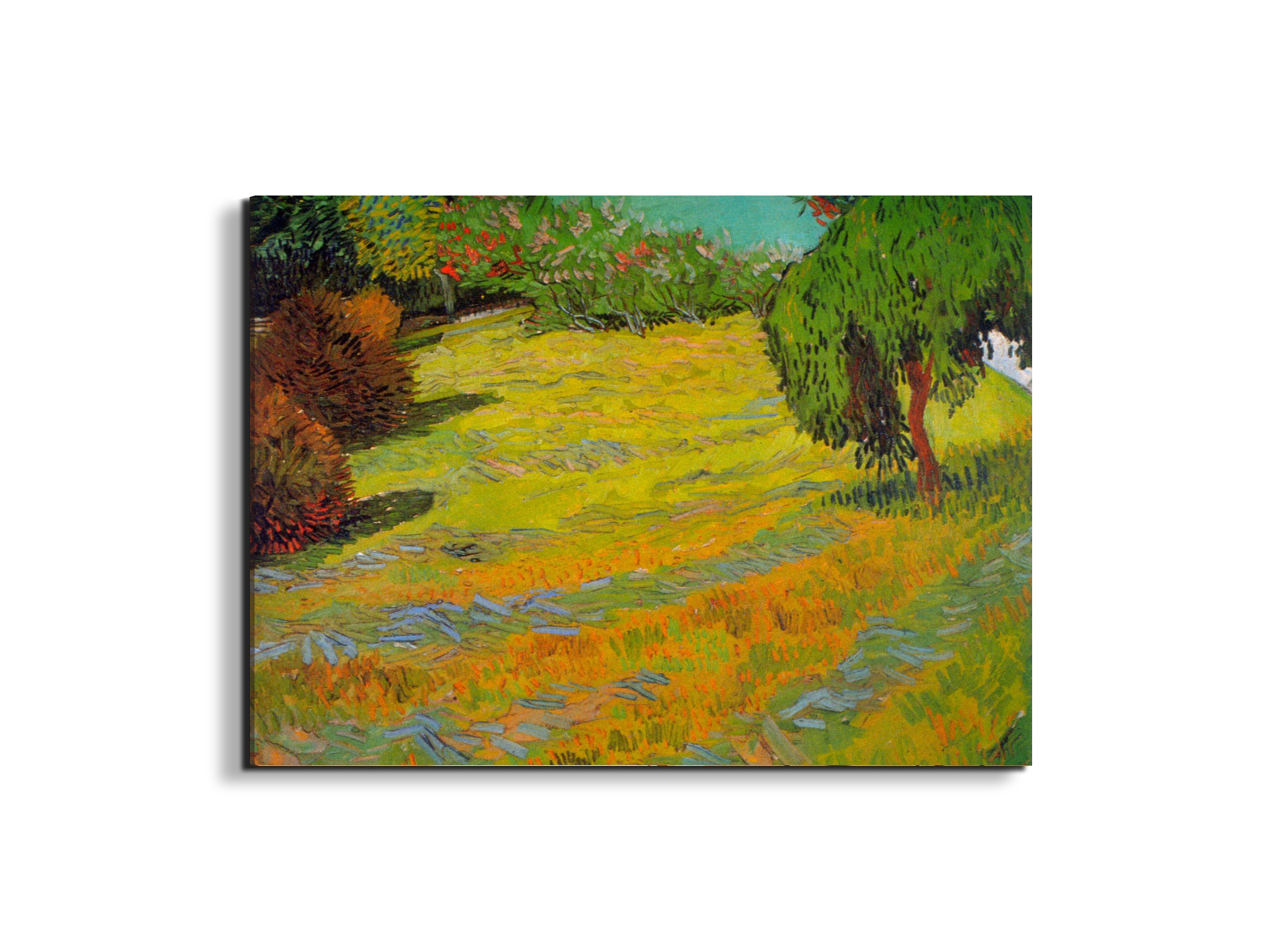 sunny-lawnas90901-#materiale_EarthArt/dimensioni_76x57