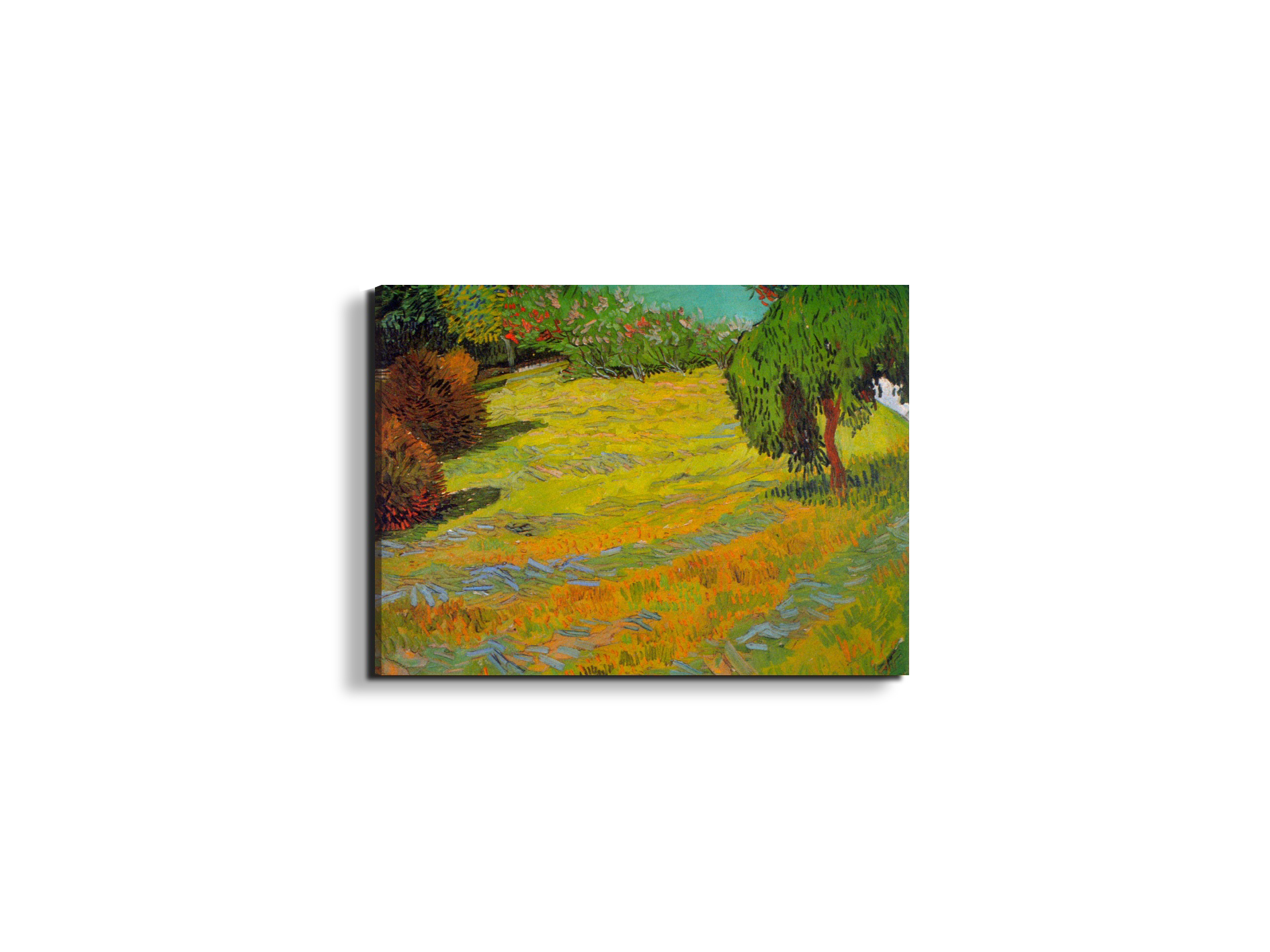 sunny-lawnas90901-#materiale_EarthArt/dimensioni_50x37,50