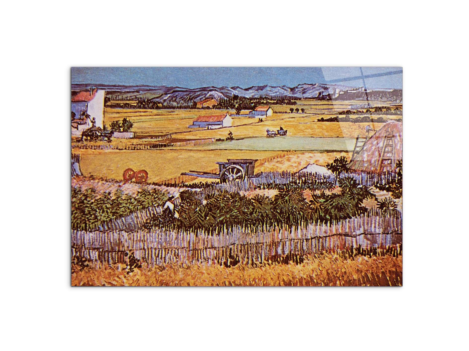 the-harvest-as90925-#materiale_CrystalArt/dimensioni_79,5x53