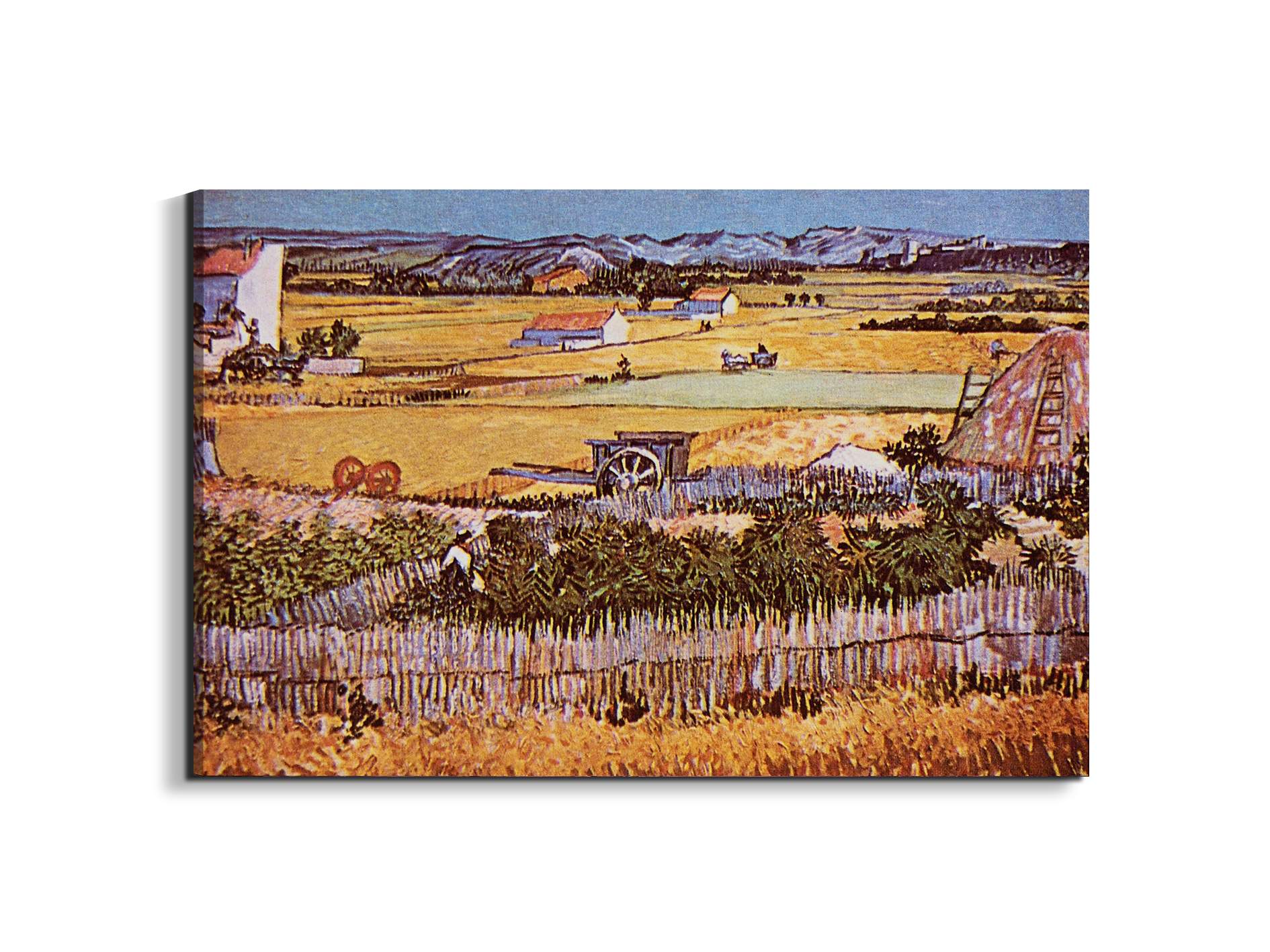 the-harvest-as90925-#materiale_EarthArt/dimensioni_79,5x53
