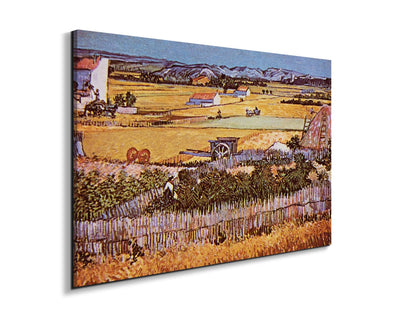 the-harvest-as90925-