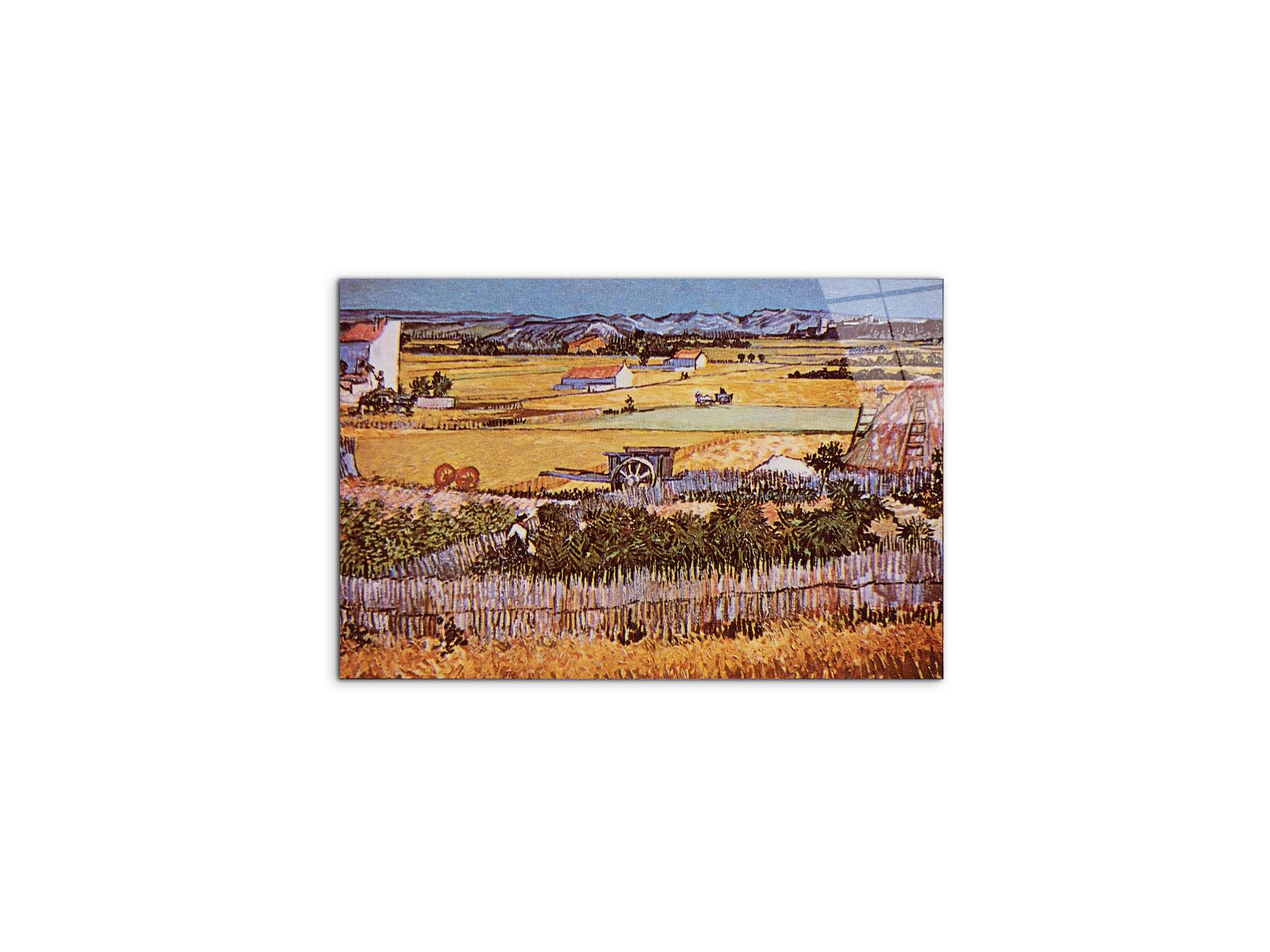 the-harvest-as90925-#materiale_CrystalArt/dimensioni_50x33,33
