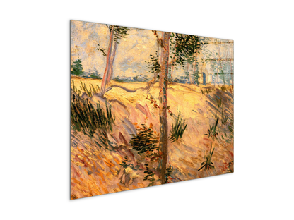 trees-in-a-field-on-a-sunny-dayas90951-#materiale_CrystalArt/dimensioni_76x57