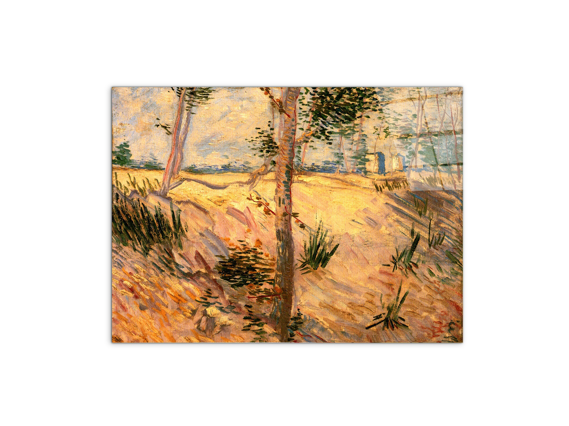 trees-in-a-field-on-a-sunny-dayas90951-#materiale_CrystalArt/dimensioni_76x57