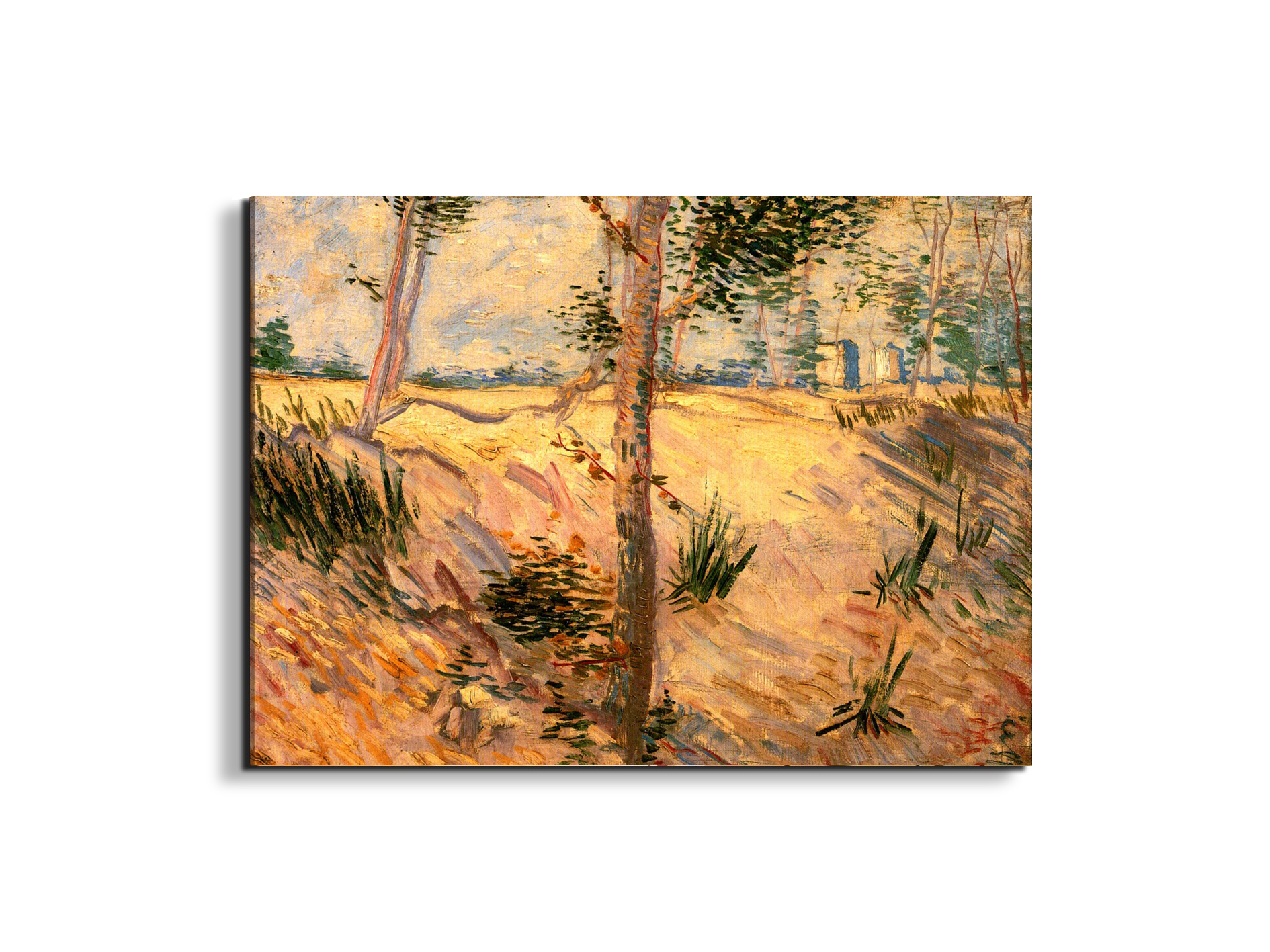 trees-in-a-field-on-a-sunny-dayas90951-#materiale_EarthArt/dimensioni_76x57