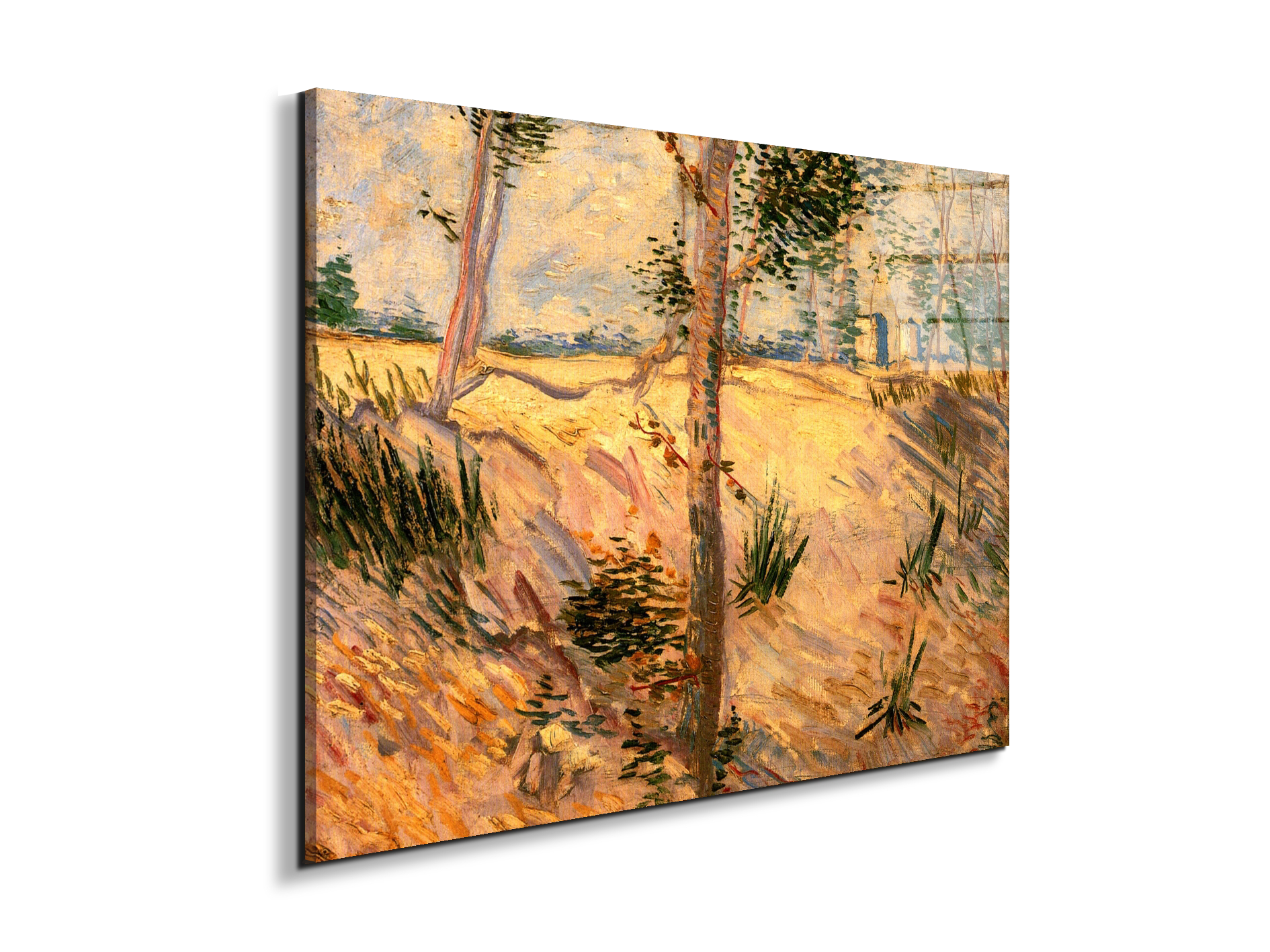 trees-in-a-field-on-a-sunny-dayas90951-#materiale_EarthArt Total Gloss/dimensioni_76x57