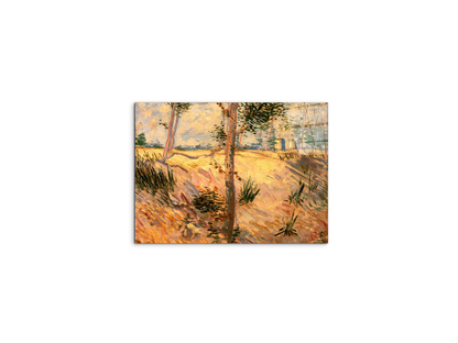 trees-in-a-field-on-a-sunny-dayas90951-#materiale_CrystalArt/dimensioni_50x37,50