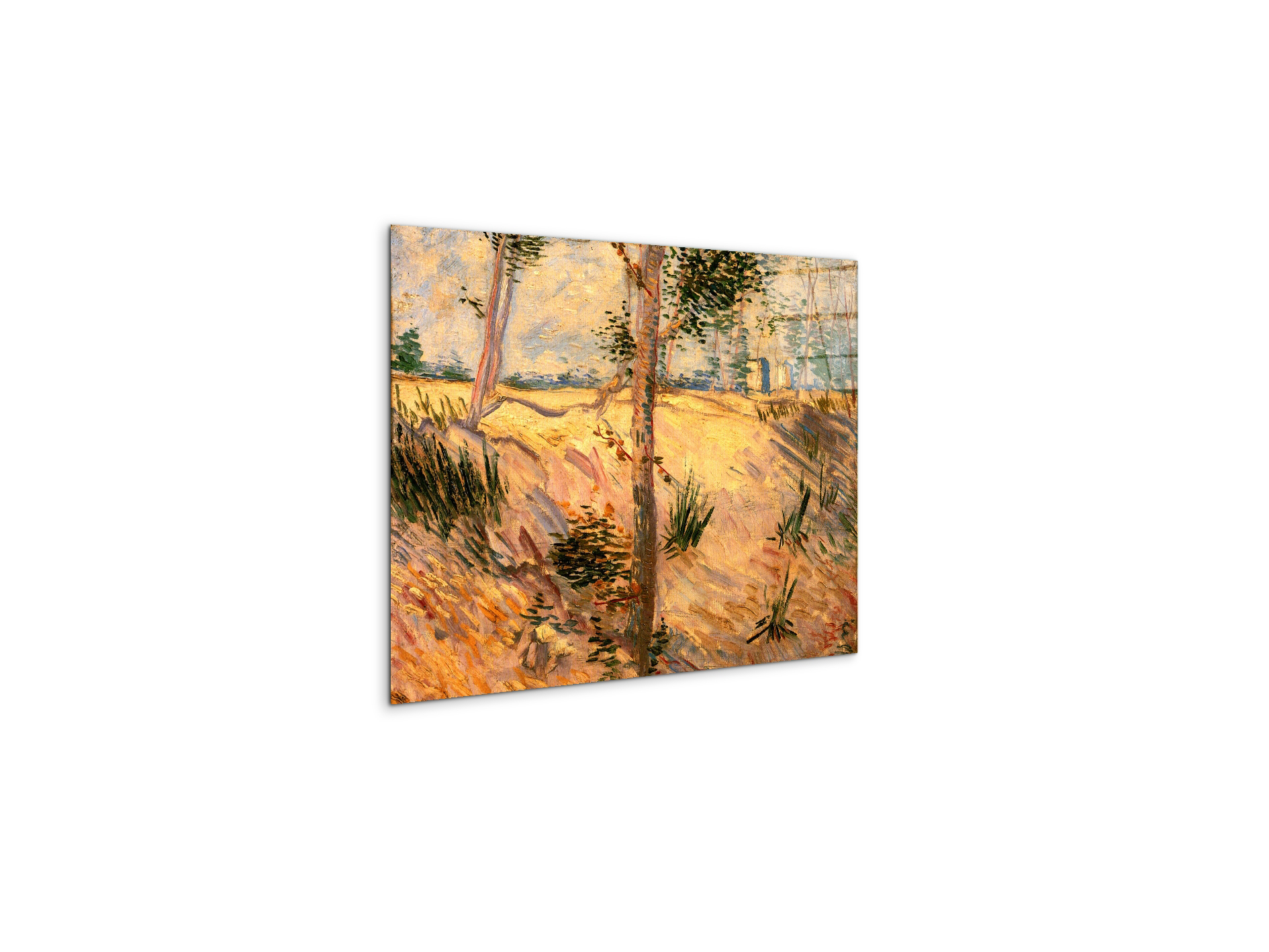 trees-in-a-field-on-a-sunny-dayas90951-#materiale_CrystalArt/dimensioni_50x37,50