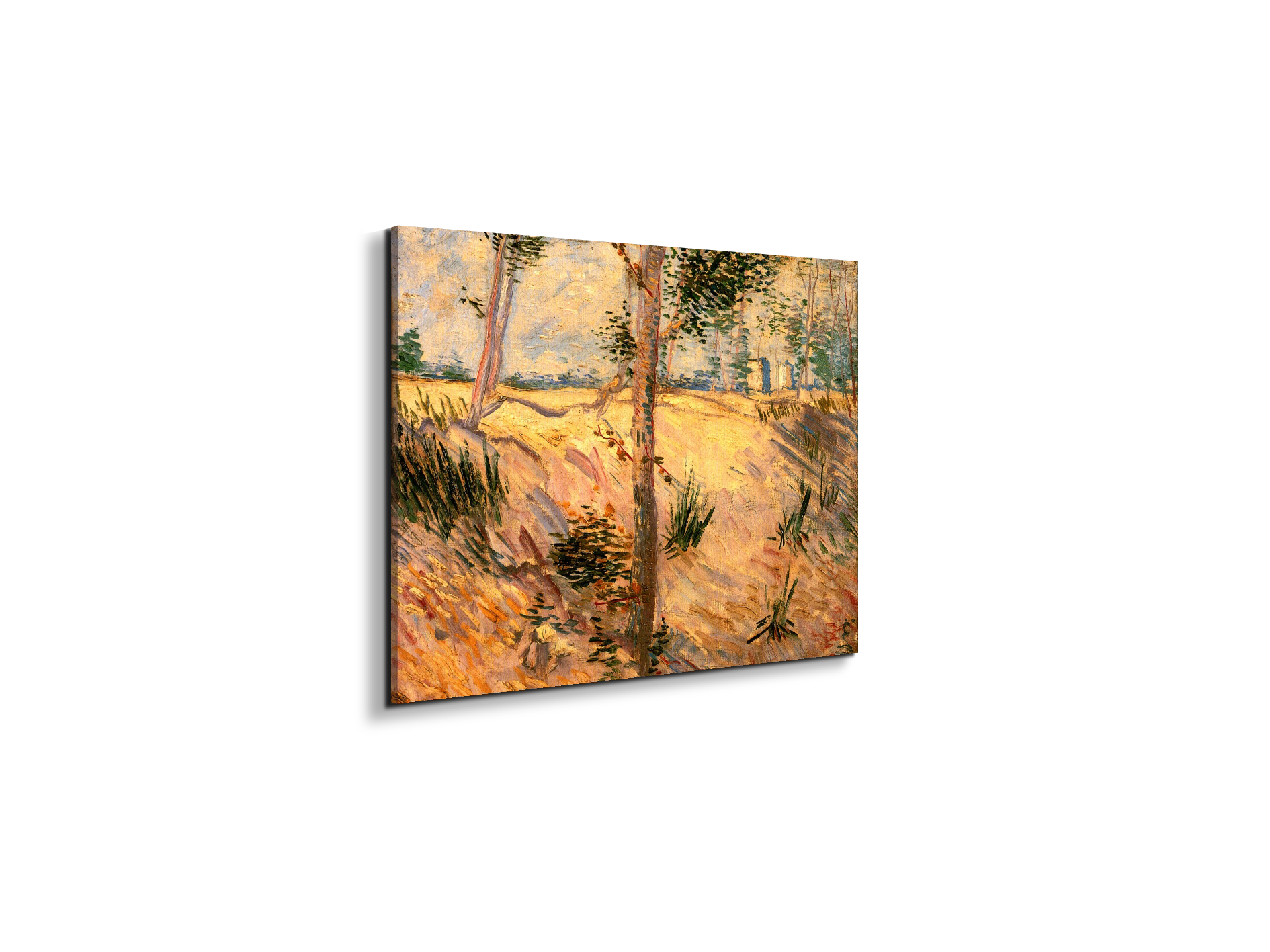 trees-in-a-field-on-a-sunny-dayas90951-#materiale_EarthArt/dimensioni_50x37,50