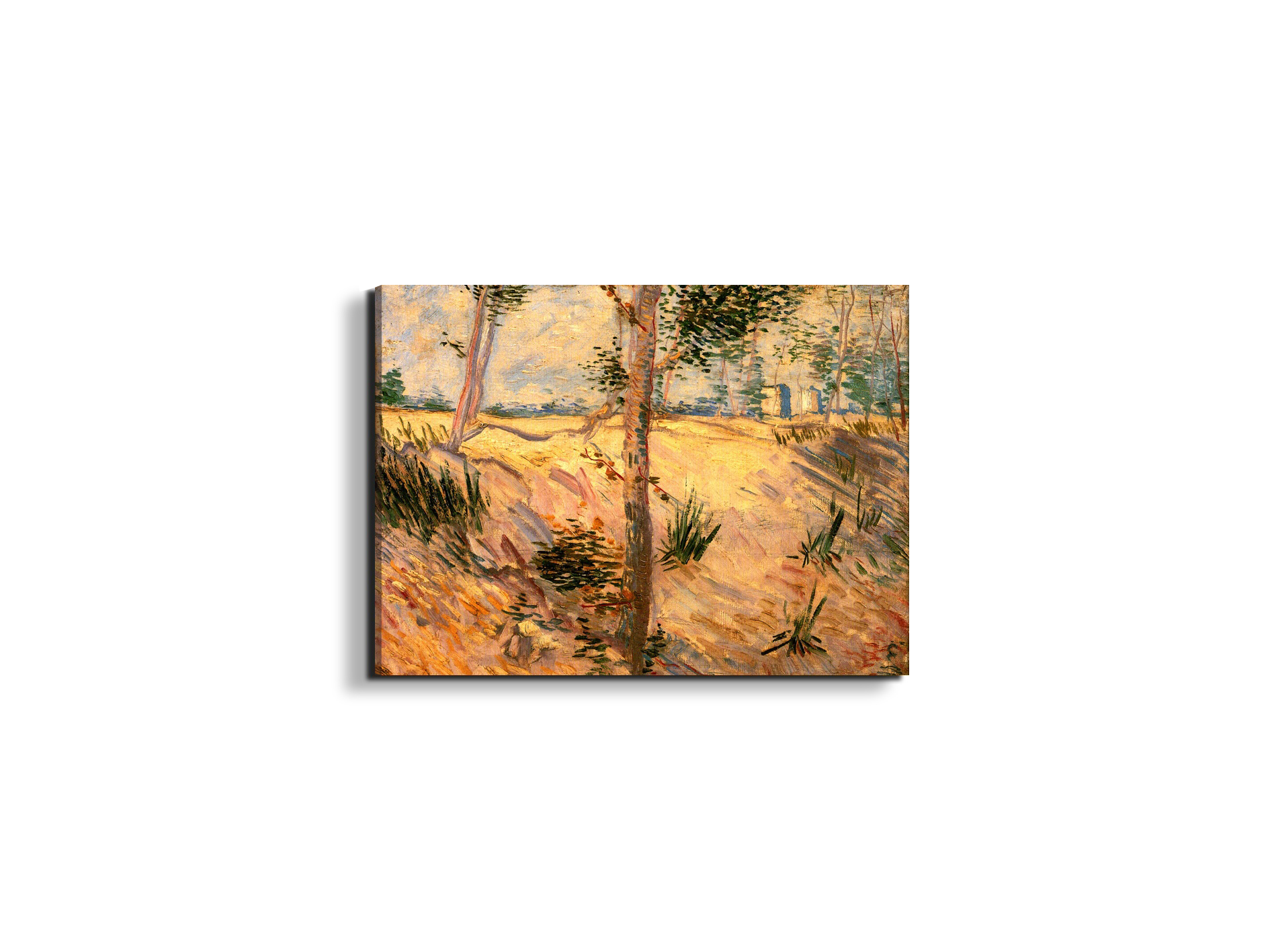 trees-in-a-field-on-a-sunny-dayas90951-#materiale_EarthArt/dimensioni_50x37,50