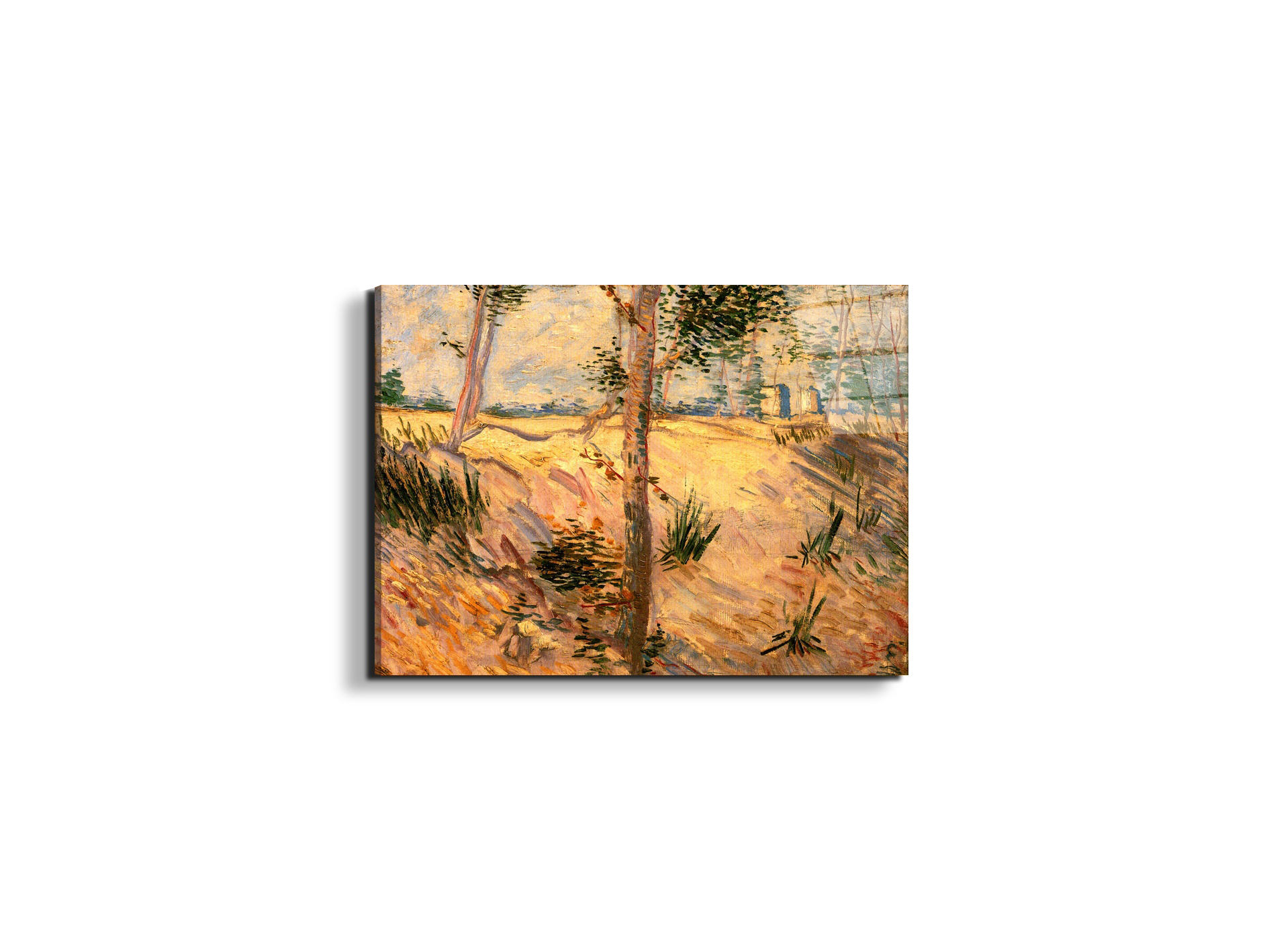 trees-in-a-field-on-a-sunny-dayas90951-#materiale_EarthArt Total Gloss/dimensioni_50x37,50