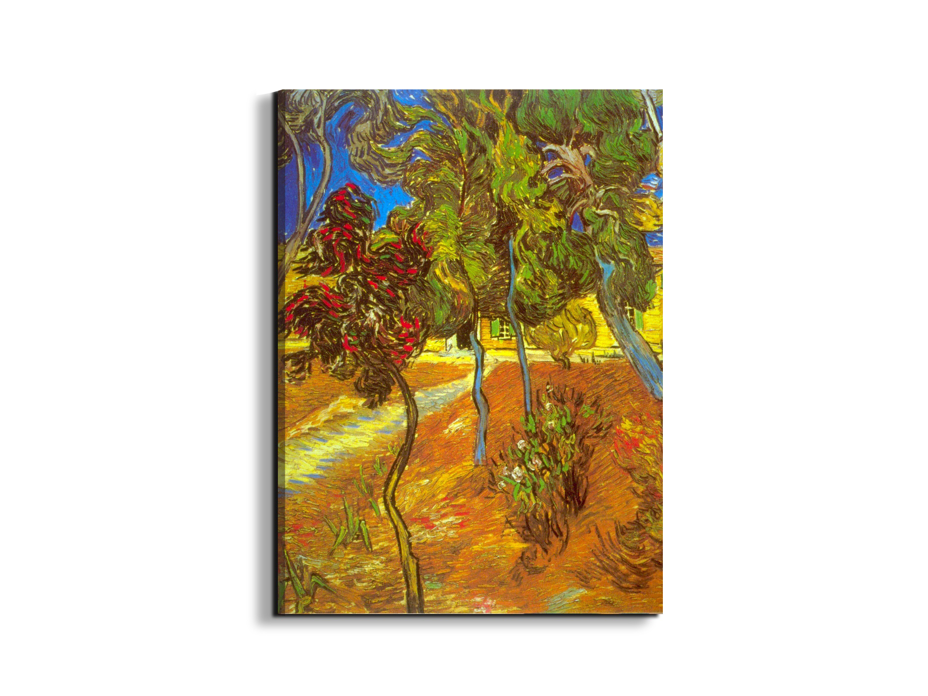treesas90953-#materiale_EarthArt/dimensioni_57x76