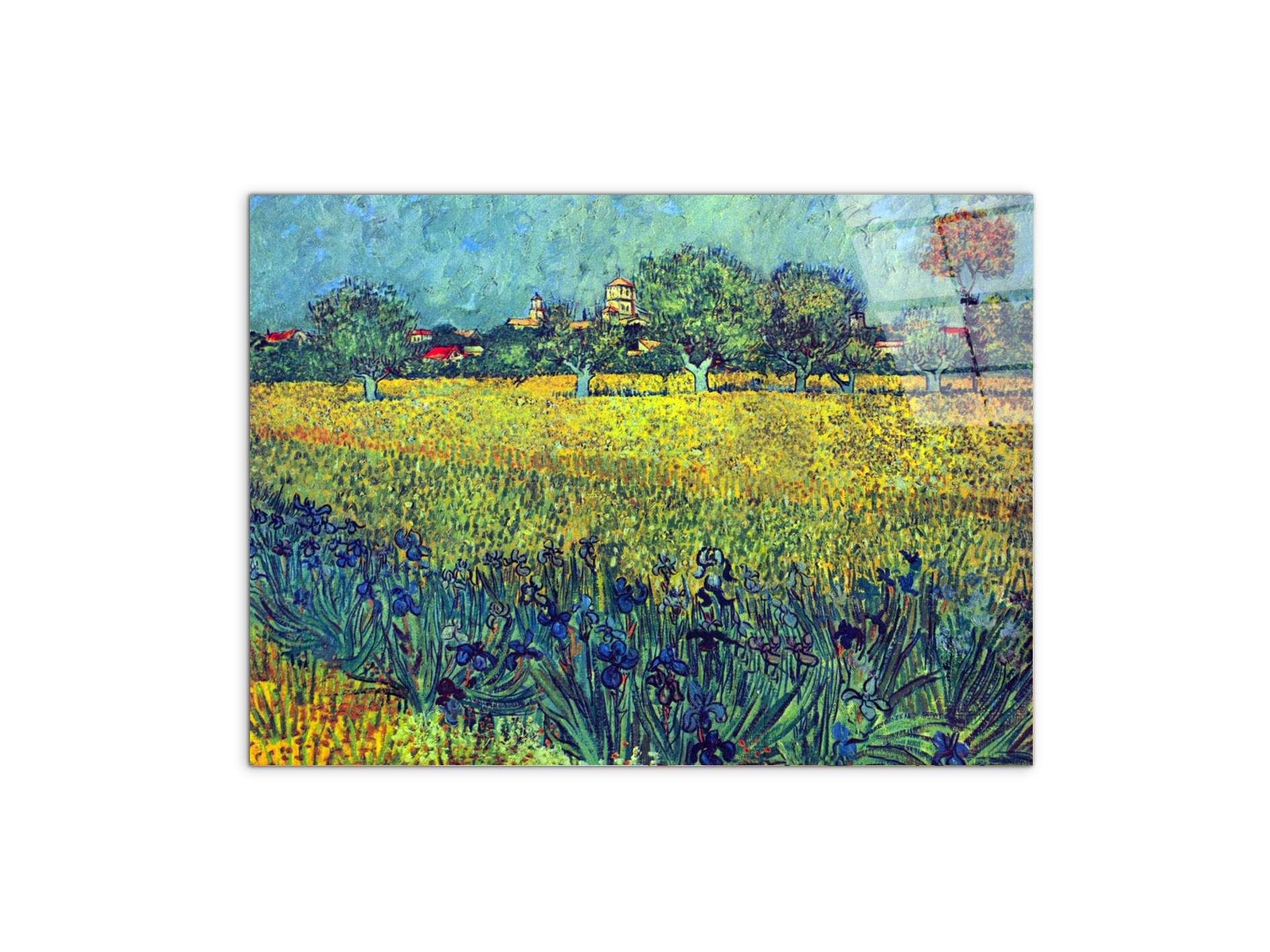 view-of-arles-with-irisesas90987-#materiale_CrystalArt/dimensioni_76x57