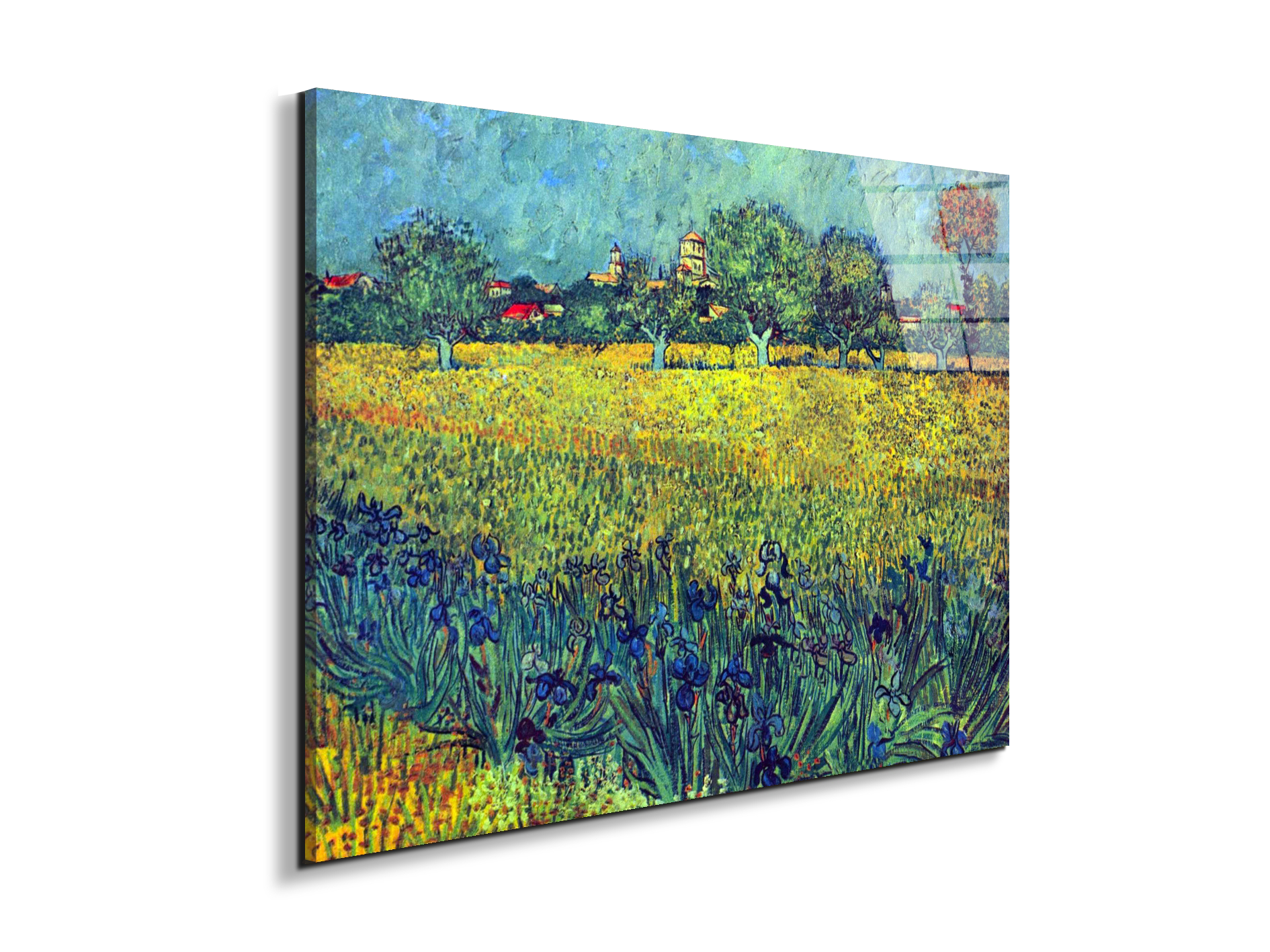 view-of-arles-with-irisesas90987-#materiale_EarthArt Total Gloss/dimensioni_76x57
