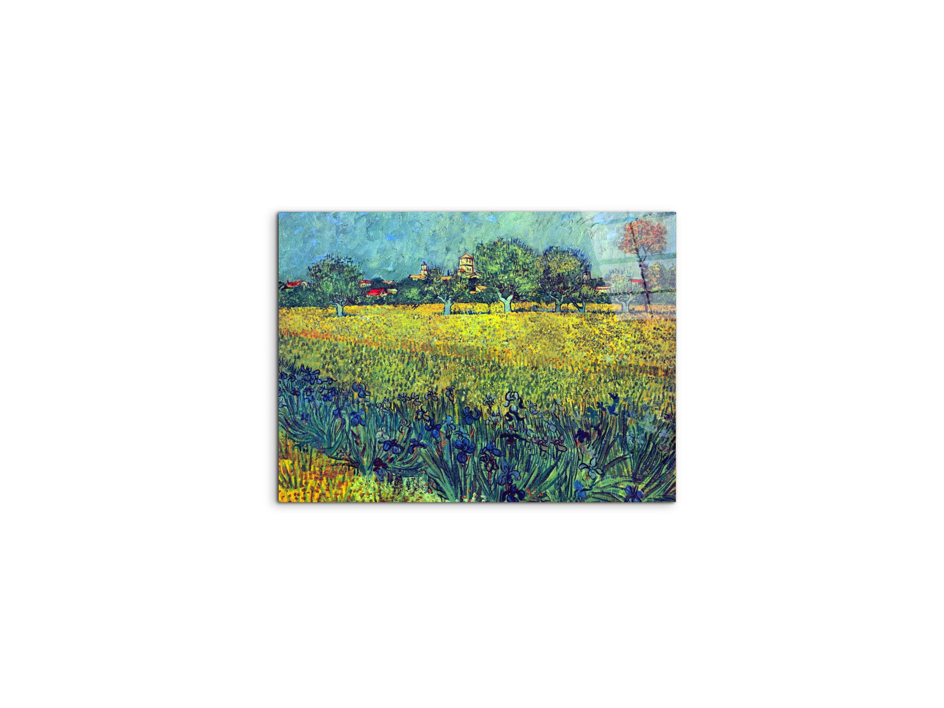 view-of-arles-with-irisesas90987-#materiale_CrystalArt/dimensioni_50x37,50