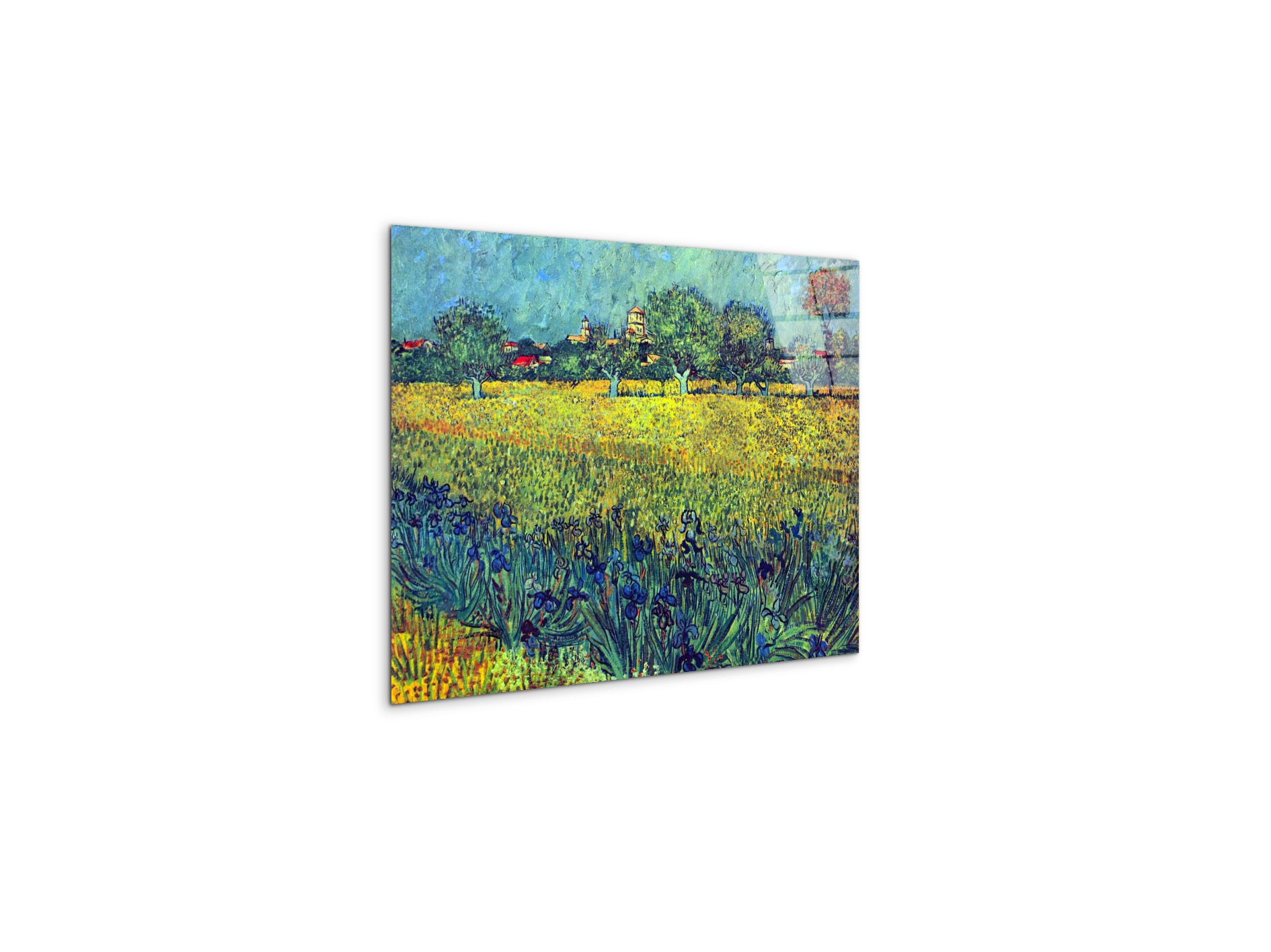 view-of-arles-with-irisesas90987-#materiale_CrystalArt/dimensioni_50x37,50