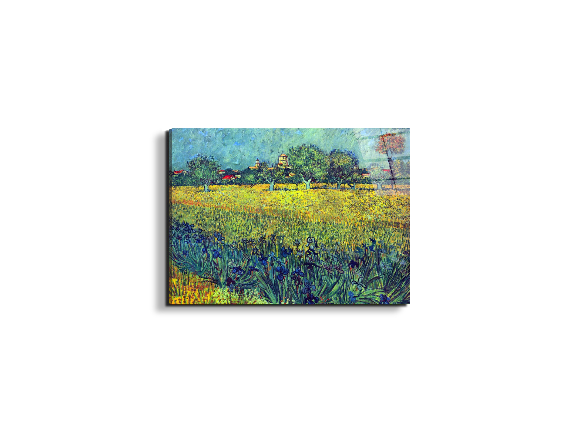 view-of-arles-with-irisesas90987-#materiale_EarthArt Total Gloss/dimensioni_50x37,50