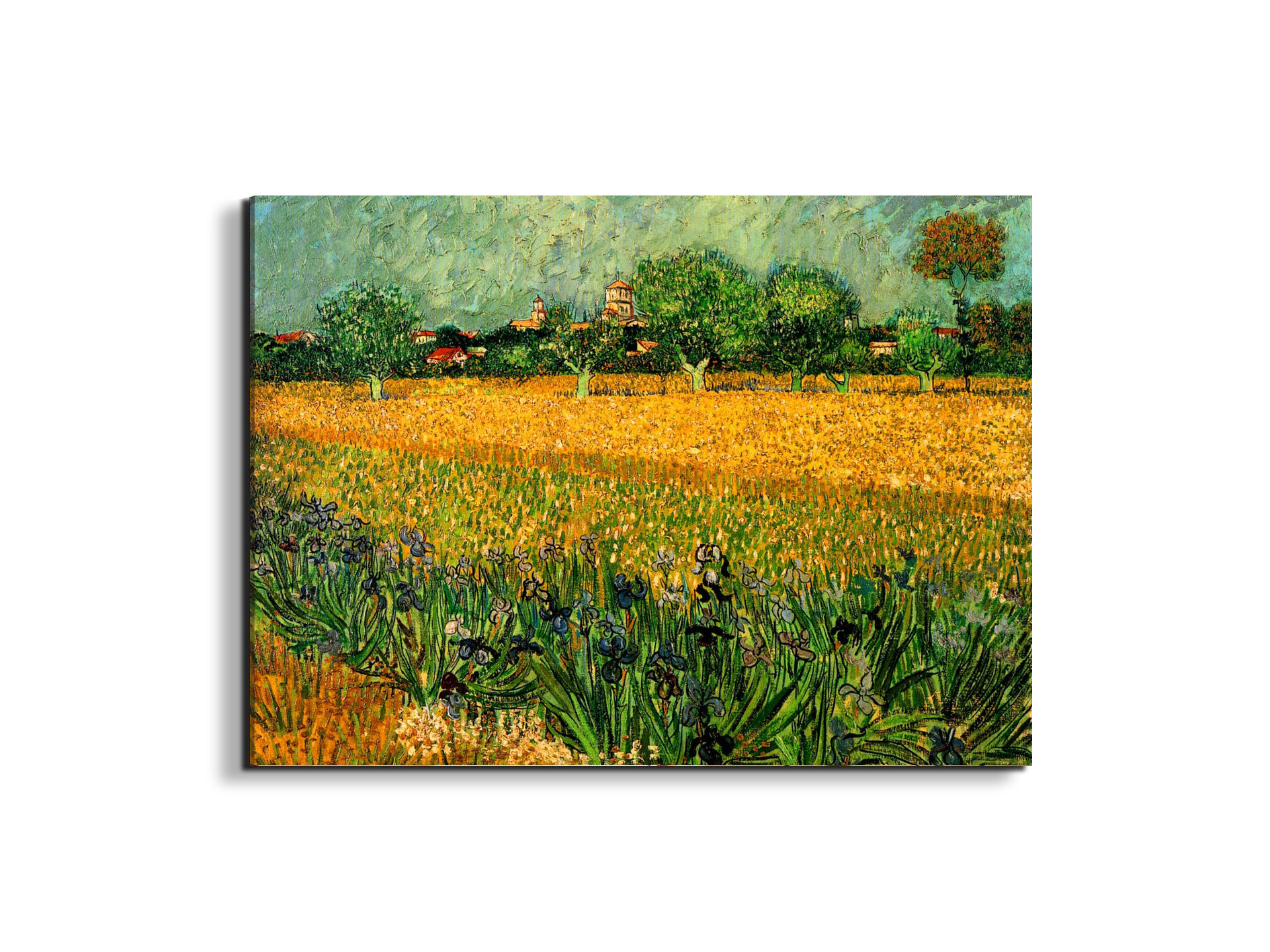 view-of-arles-with-irises-in-the-foregroundas90989-#materiale_EarthArt/dimensioni_76x57