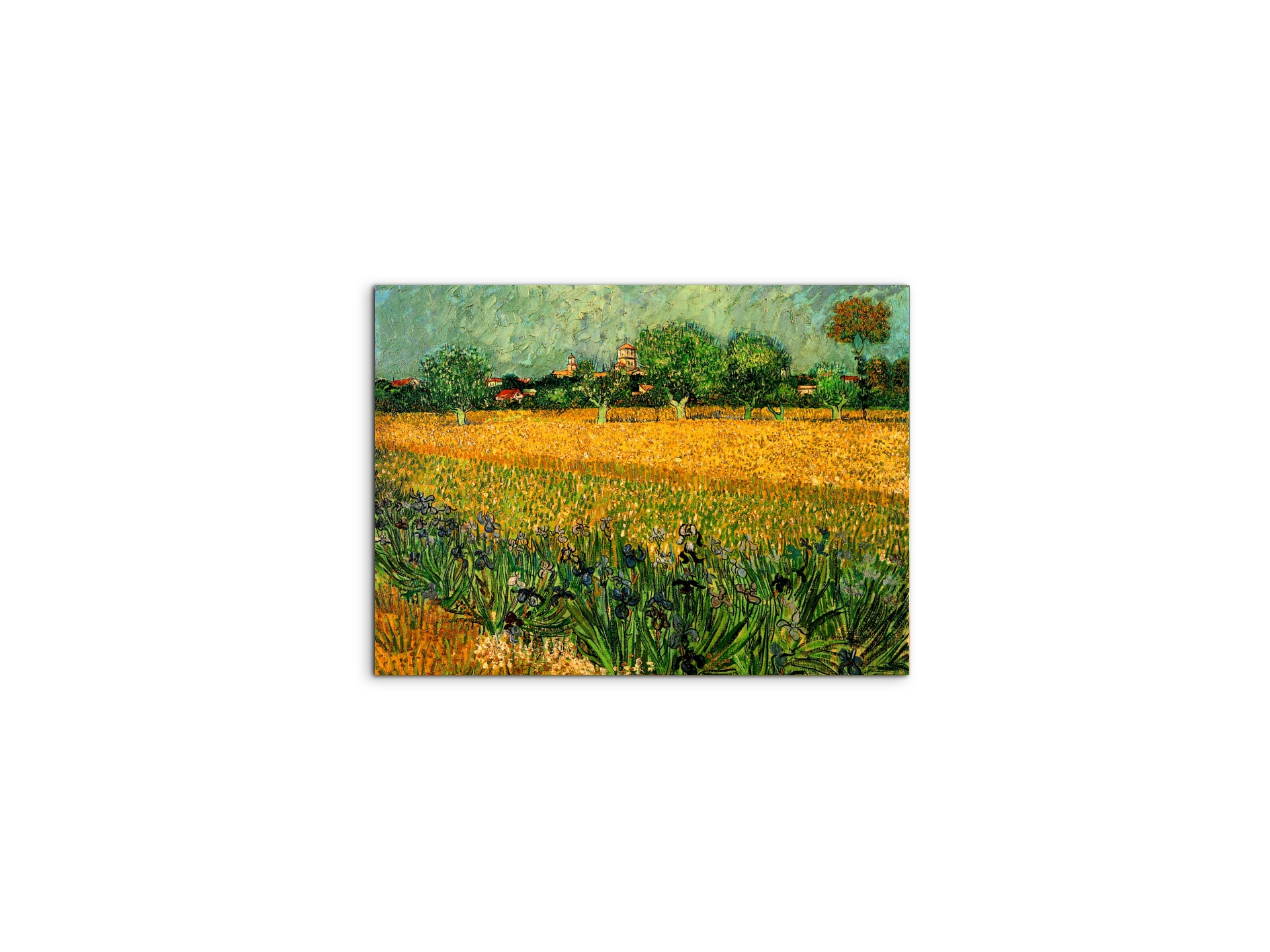 view-of-arles-with-irises-in-the-foregroundas90989-#materiale_MetalArt Materic/dimensioni_50x37,50