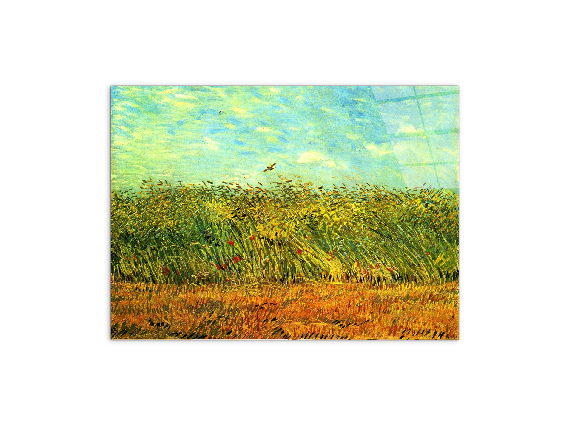 wheat-field-with-a-larkas90999-#materiale_CrystalArt/dimensioni_76x57