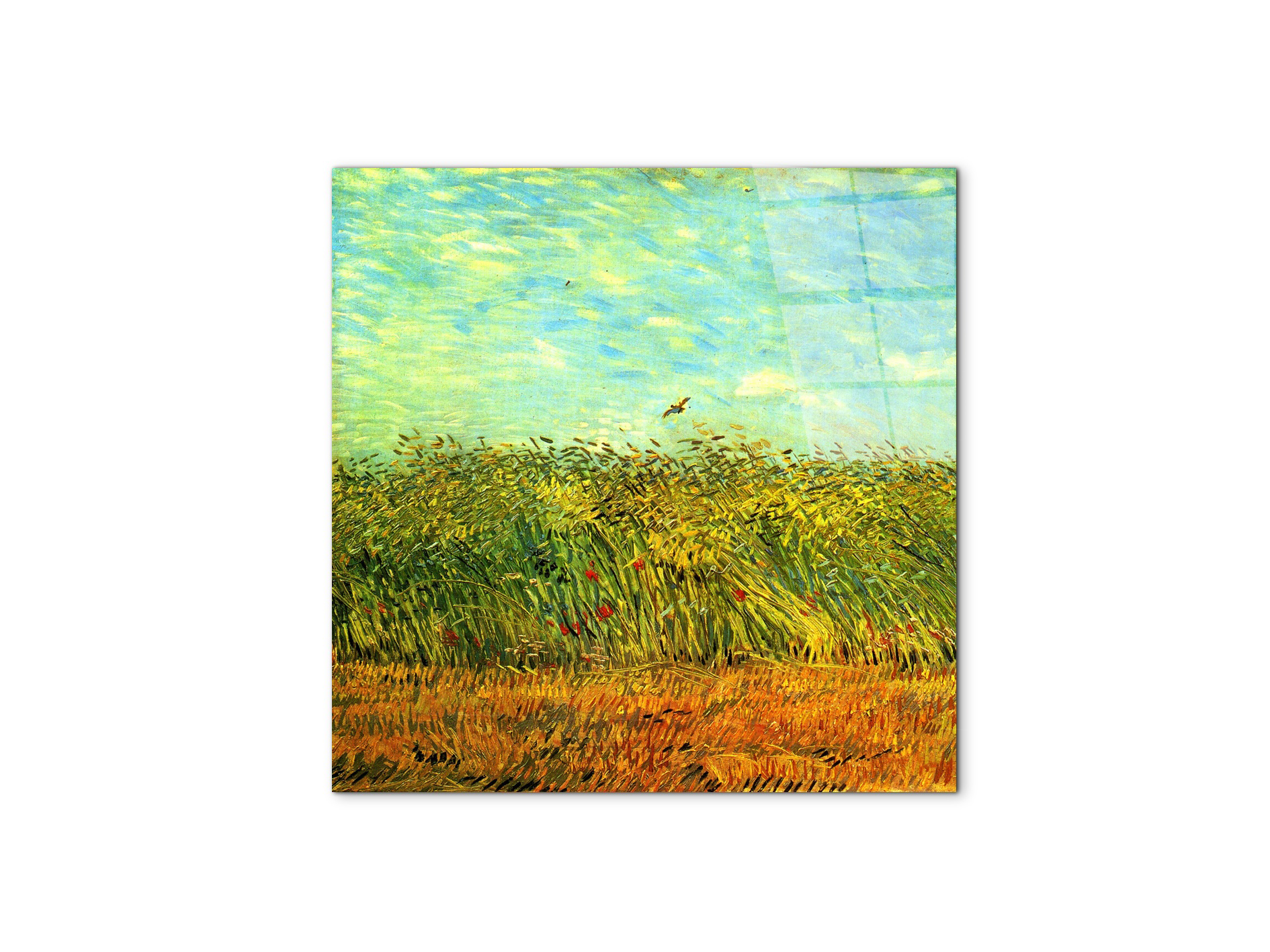 wheat-field-with-a-larkas91001-#materiale_CrystalArt/dimensioni_58x58