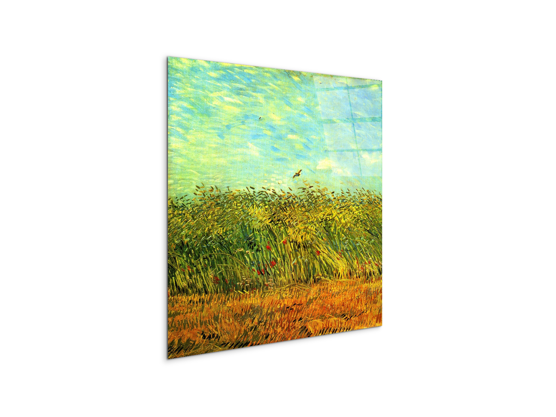 wheat-field-with-a-larkas91001-