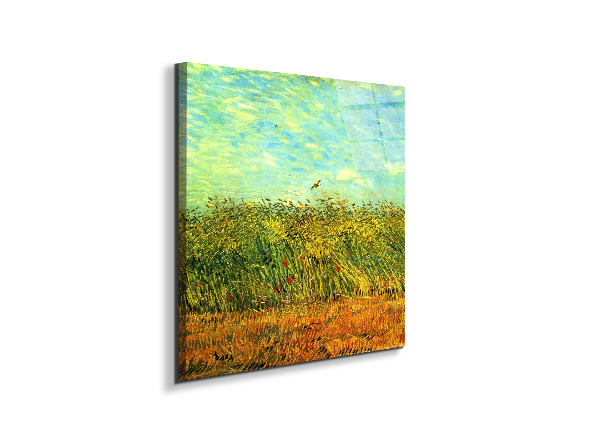 wheat-field-with-a-larkas91001-