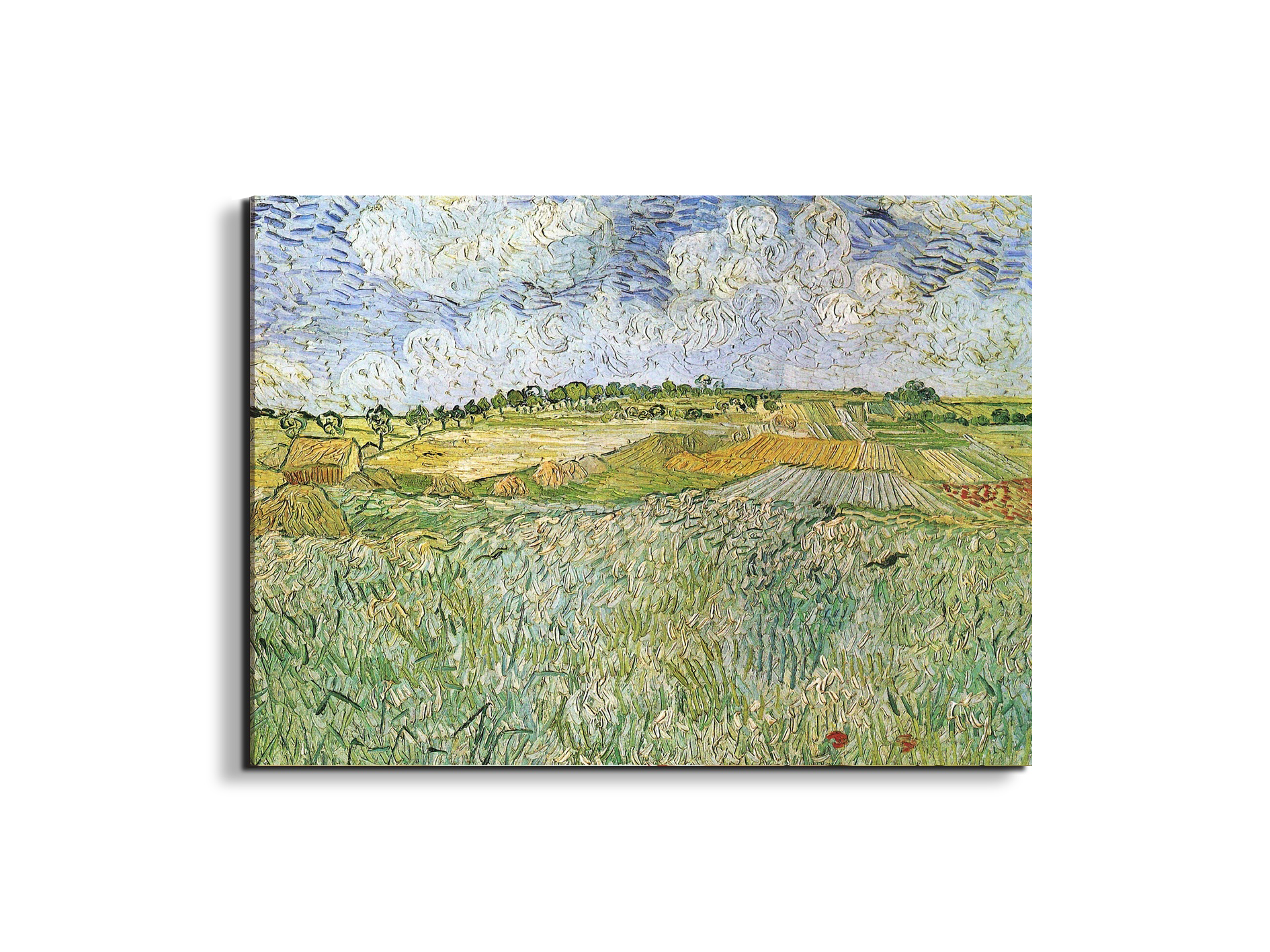 auvers-with-rain-cloudsas91021-#materiale_EarthArt/dimensioni_76x57
