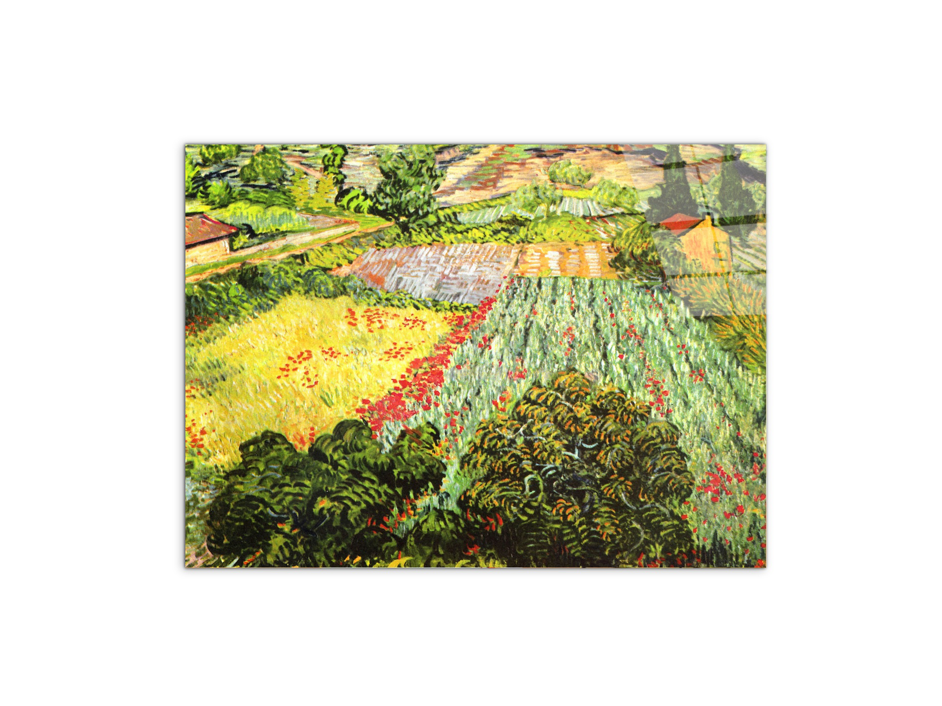 blooming-fieldas91025-#materiale_CrystalArt/dimensioni_76x57