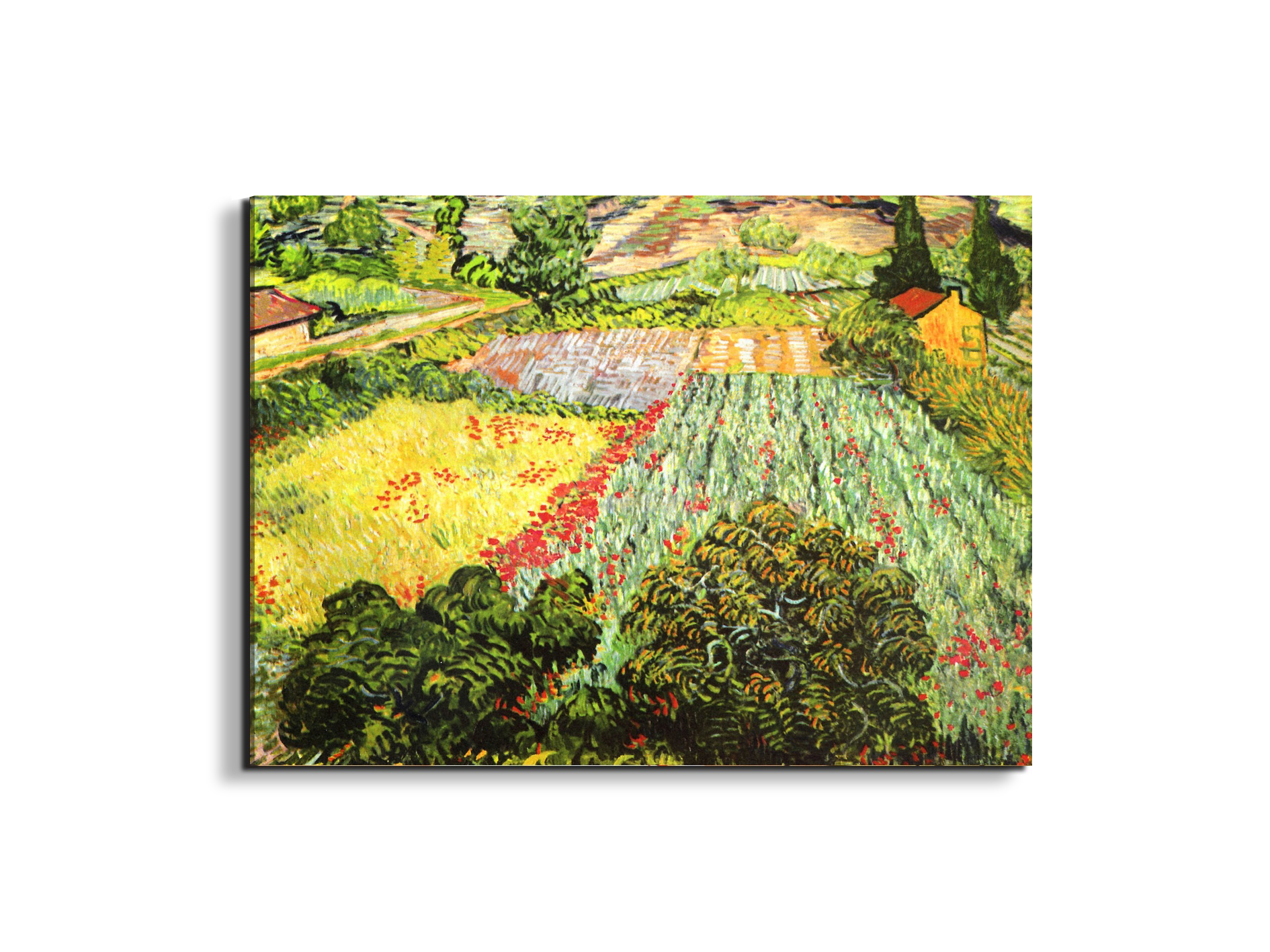 blooming-fieldas91025-#materiale_EarthArt/dimensioni_76x57