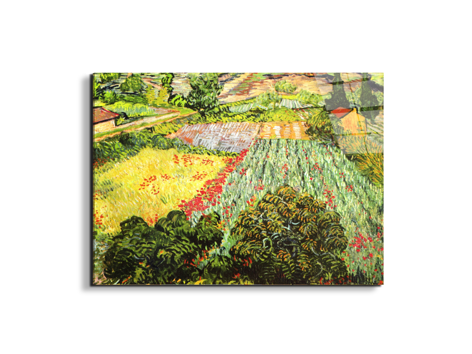 blooming-fieldas91025-#materiale_EarthArt Total Gloss/dimensioni_76x57