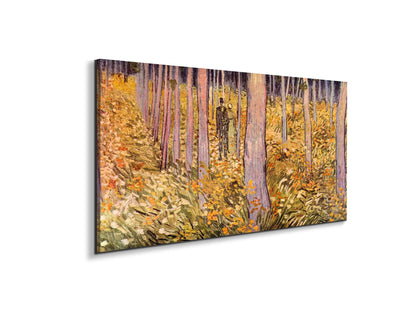 couple-walk-in-the-woodsas91039-