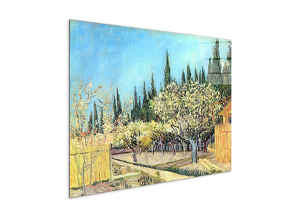 flowering-fruit-garden-surrounded-by-cypress-as91067-