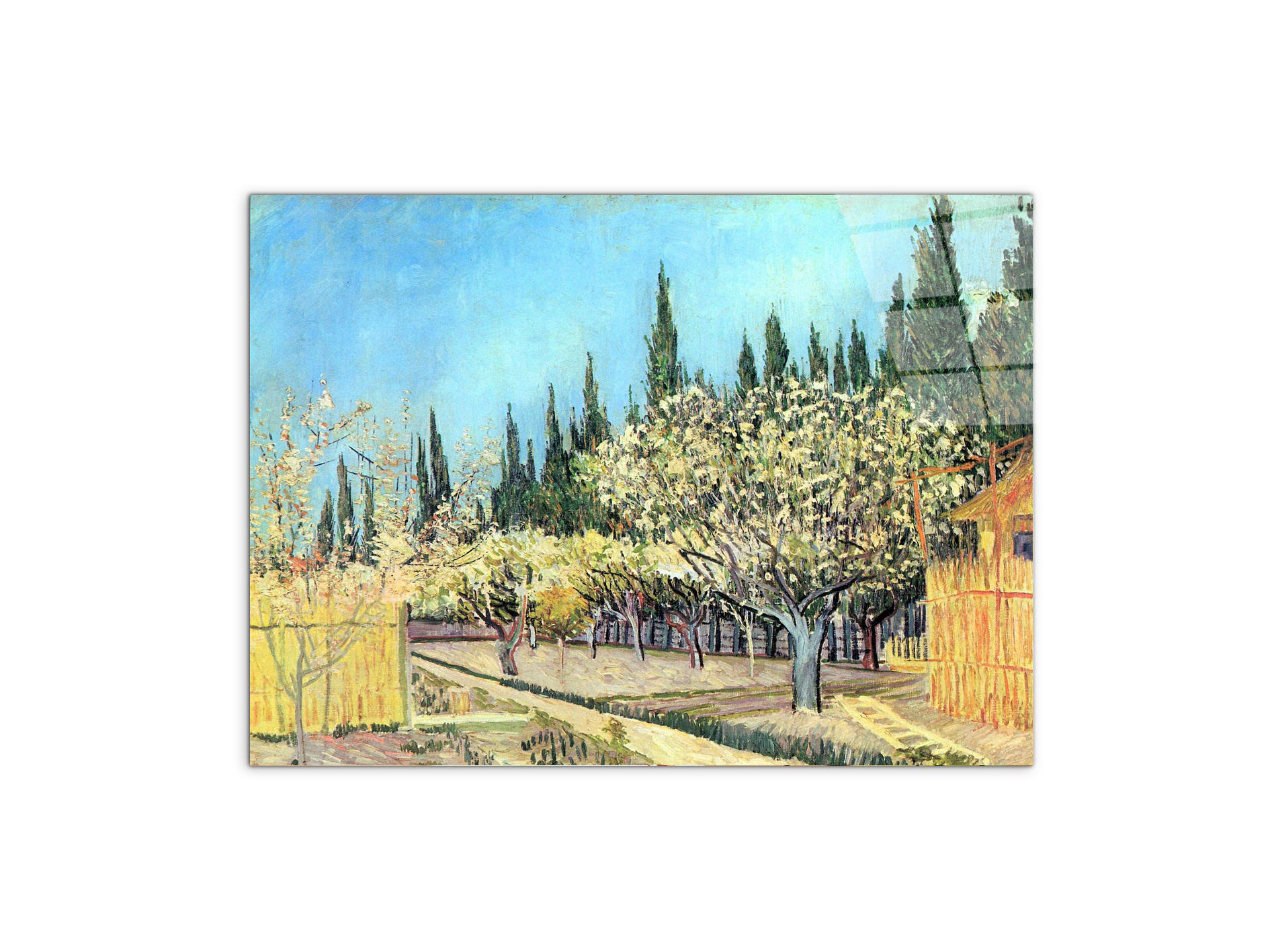 flowering-fruit-garden-surrounded-by-cypress-as91067-#materiale_CrystalArt/dimensioni_76x57