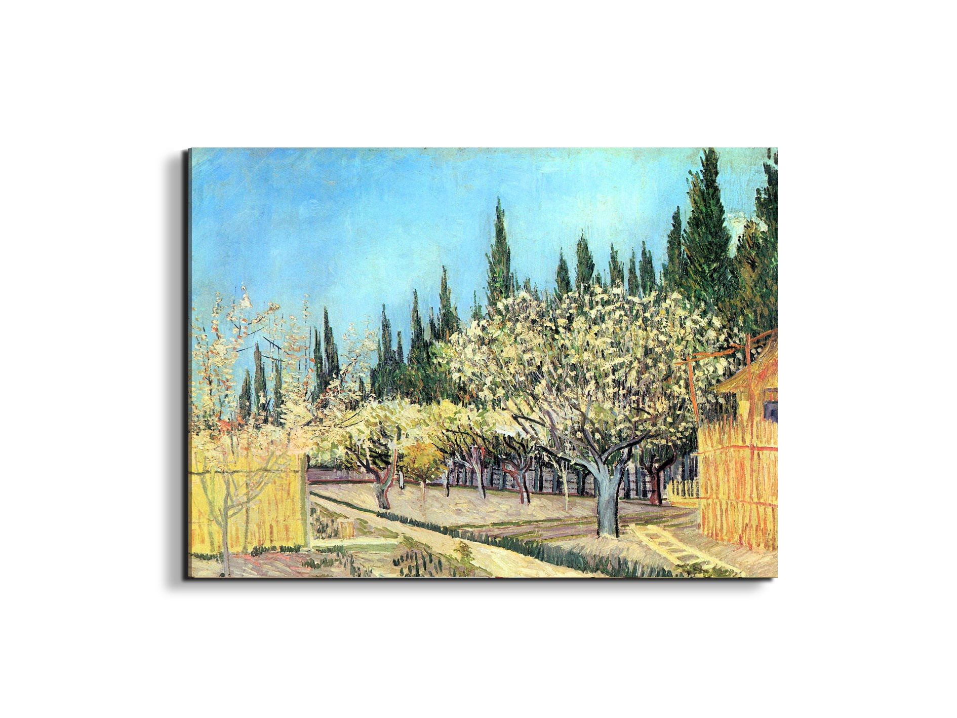 flowering-fruit-garden-surrounded-by-cypress-as91067-#materiale_EarthArt/dimensioni_76x57