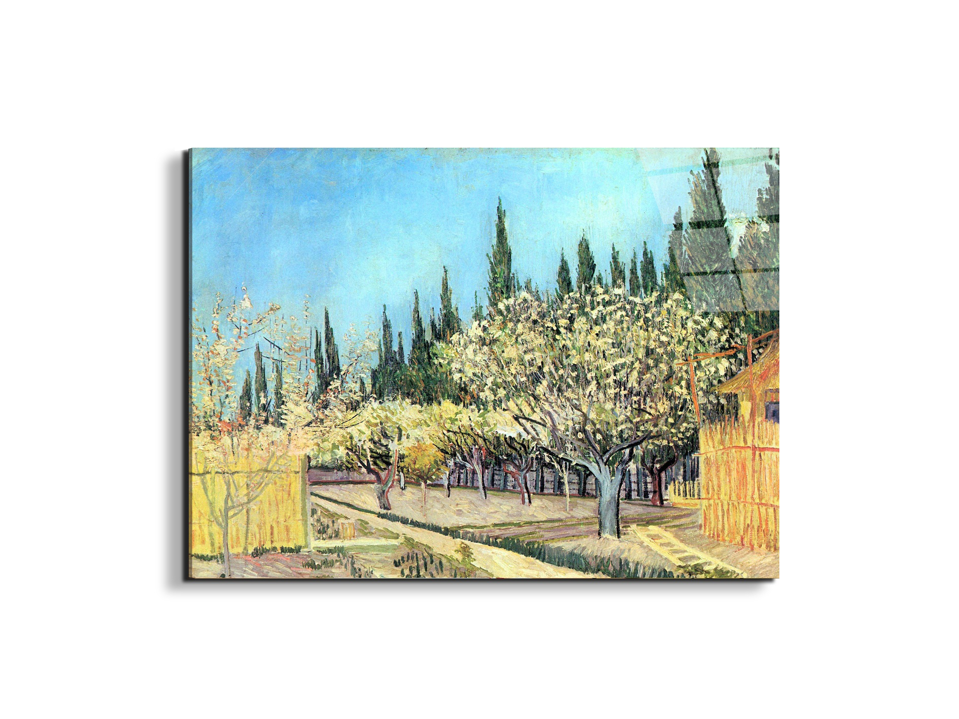 flowering-fruit-garden-surrounded-by-cypress-as91067-#materiale_EarthArt Total Gloss/dimensioni_76x57