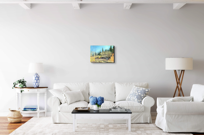 flowering-fruit-garden-surrounded-by-cypress-as91067-